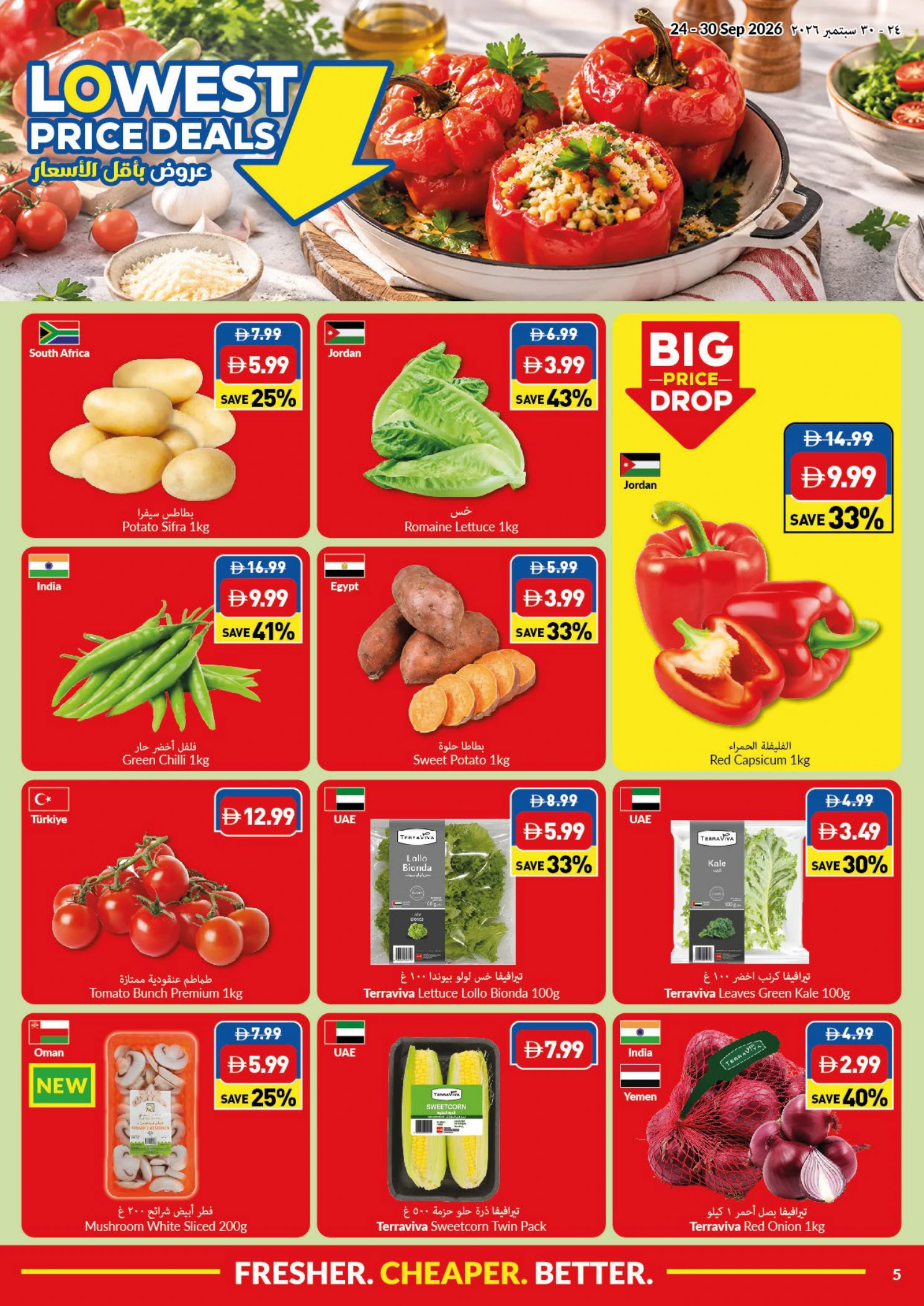 Flyer page 5