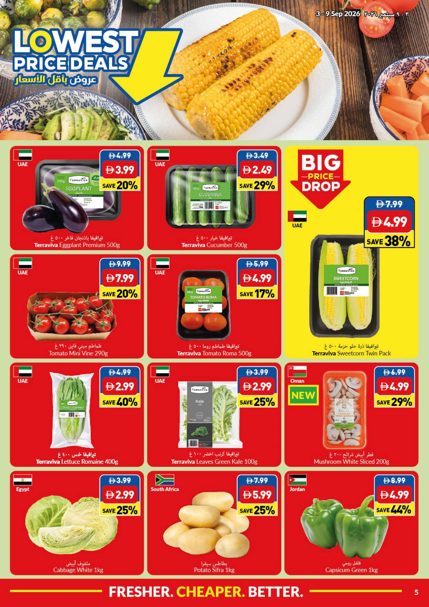 Flyer page 5