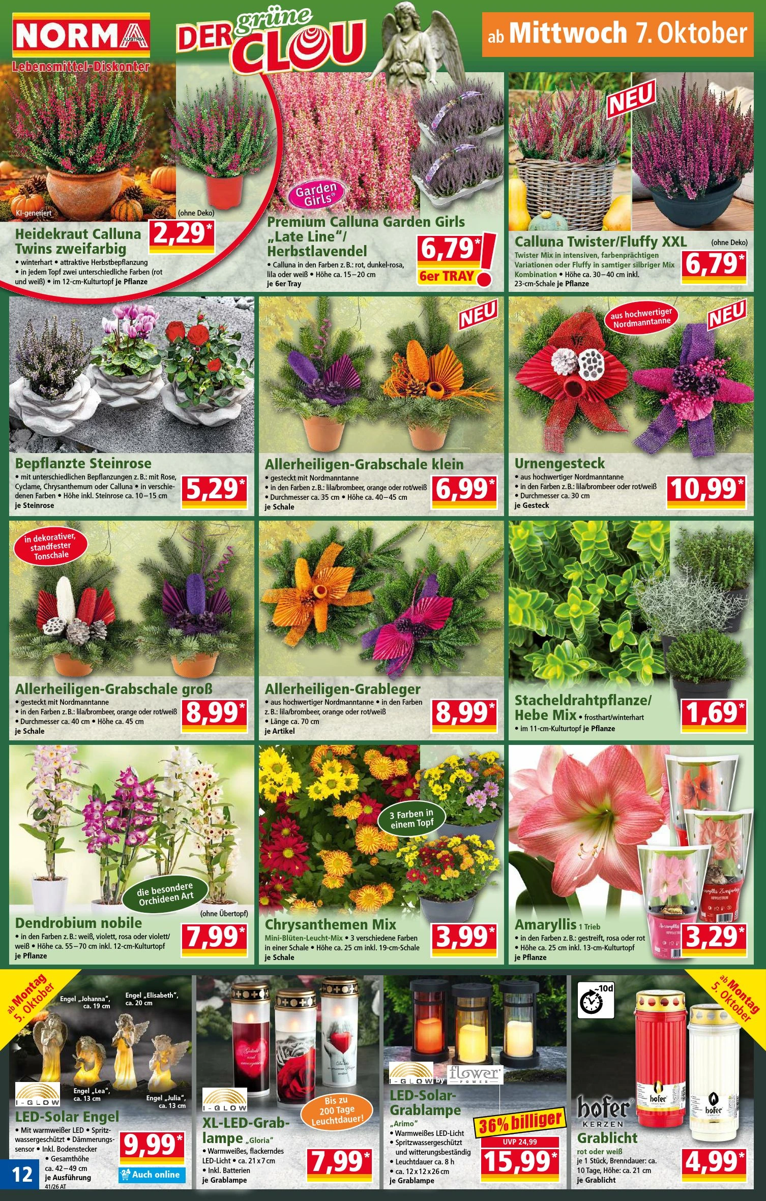 Flyer page 12