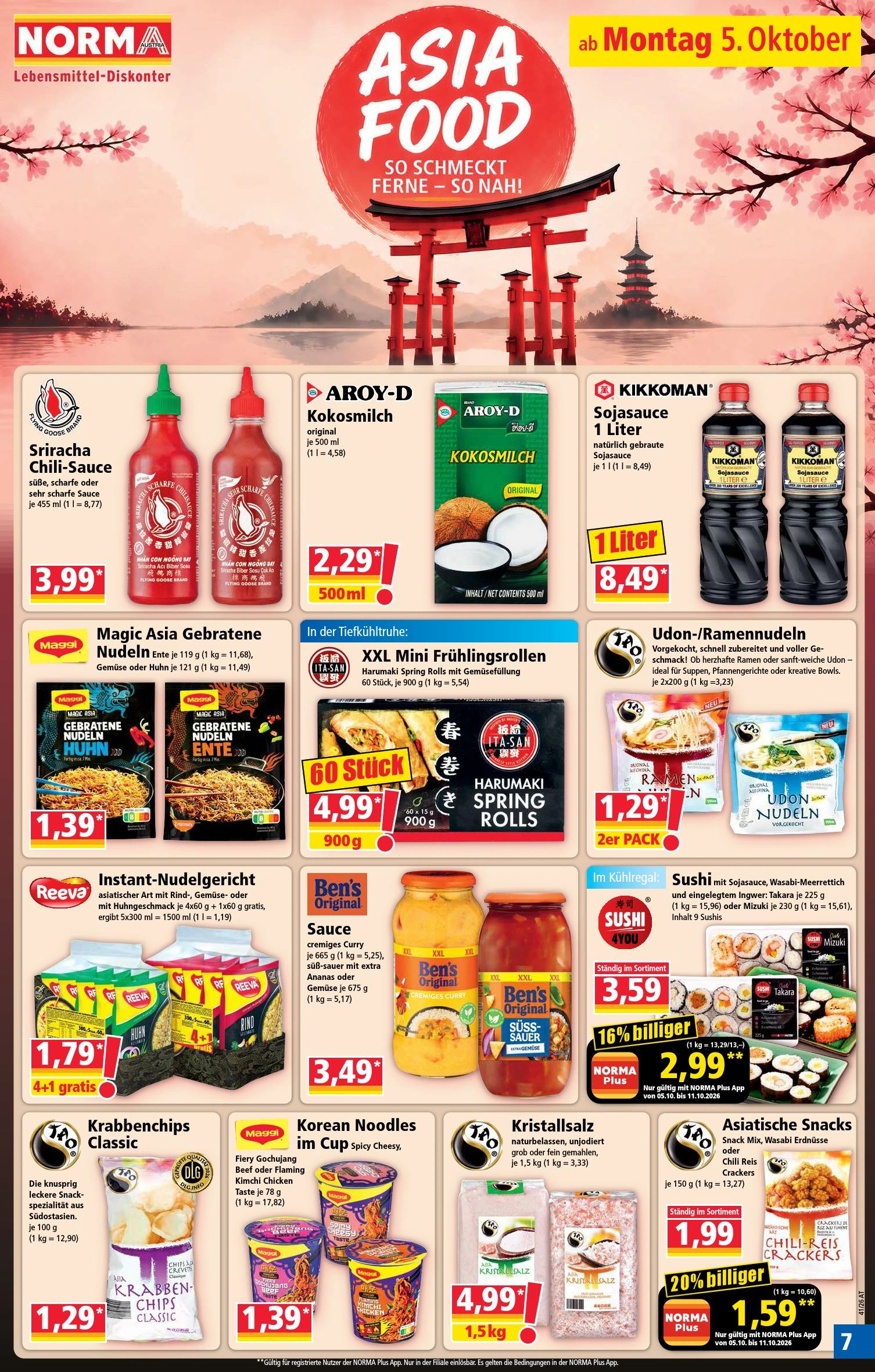 Flyer page 7