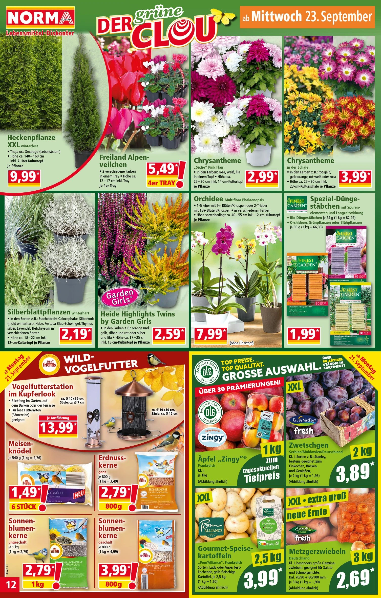 Flyer page 12