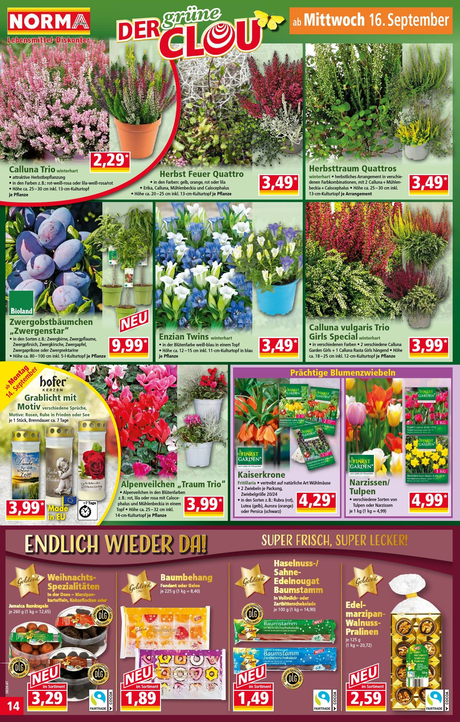 Flyer page 14