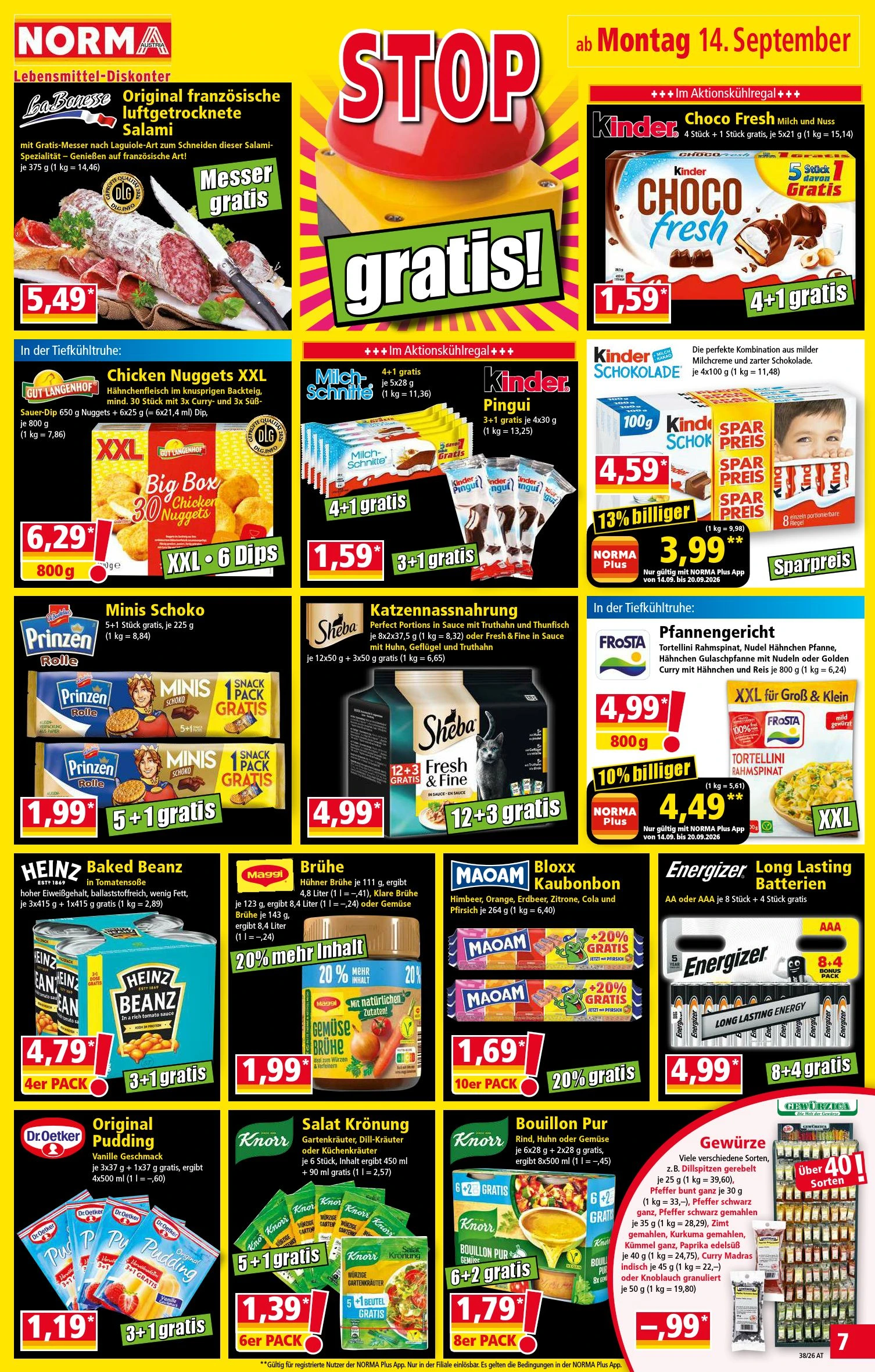 Flyer page 7