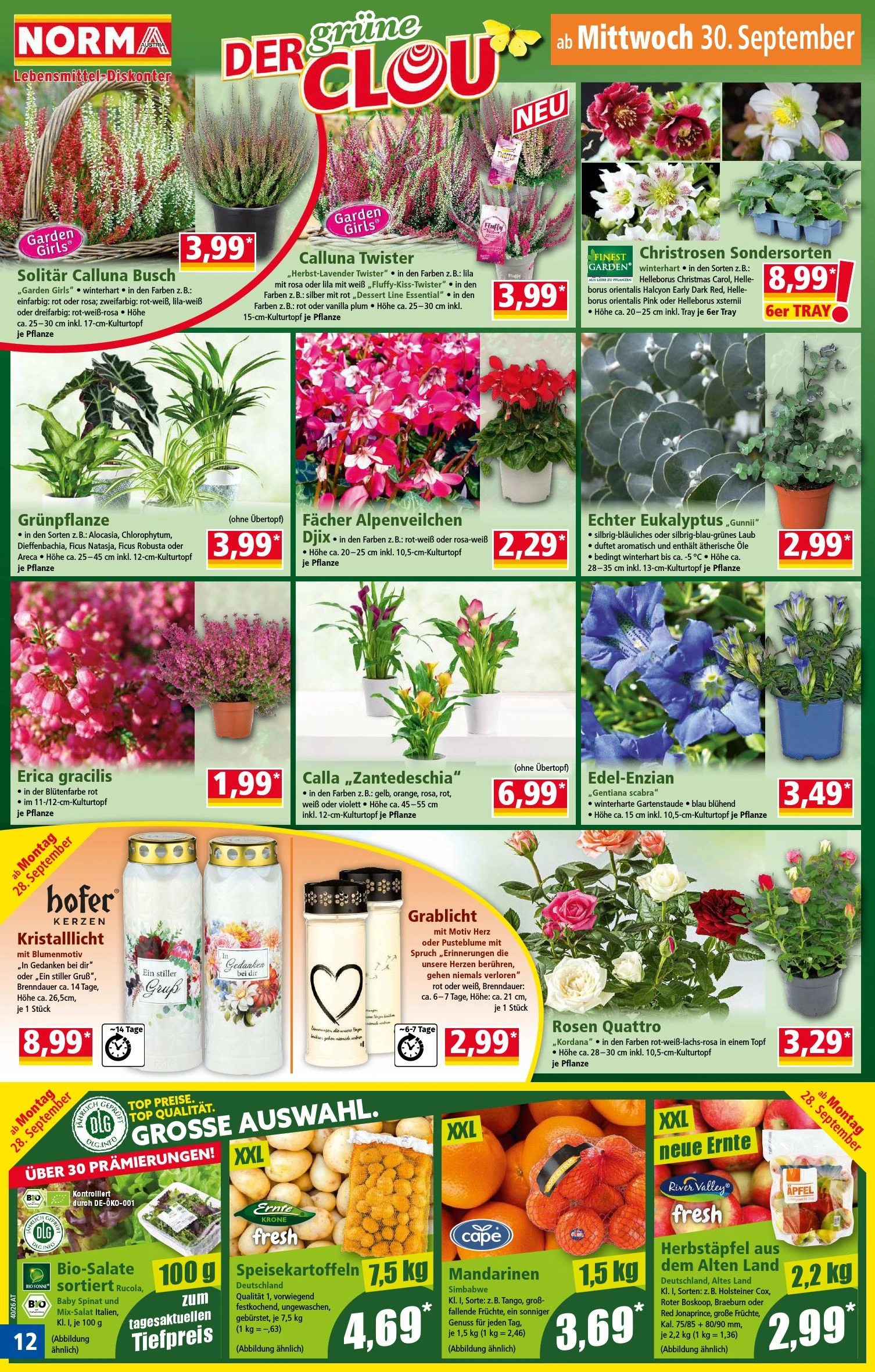 Flyer page 12