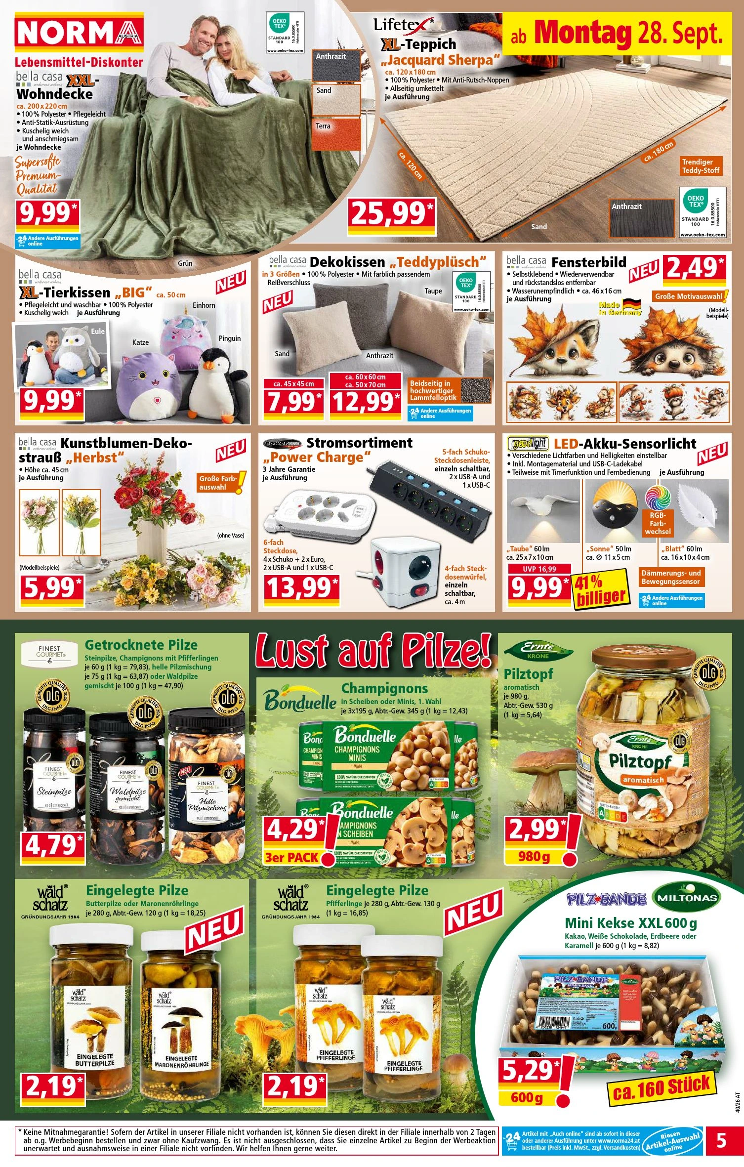 Flyer page 5