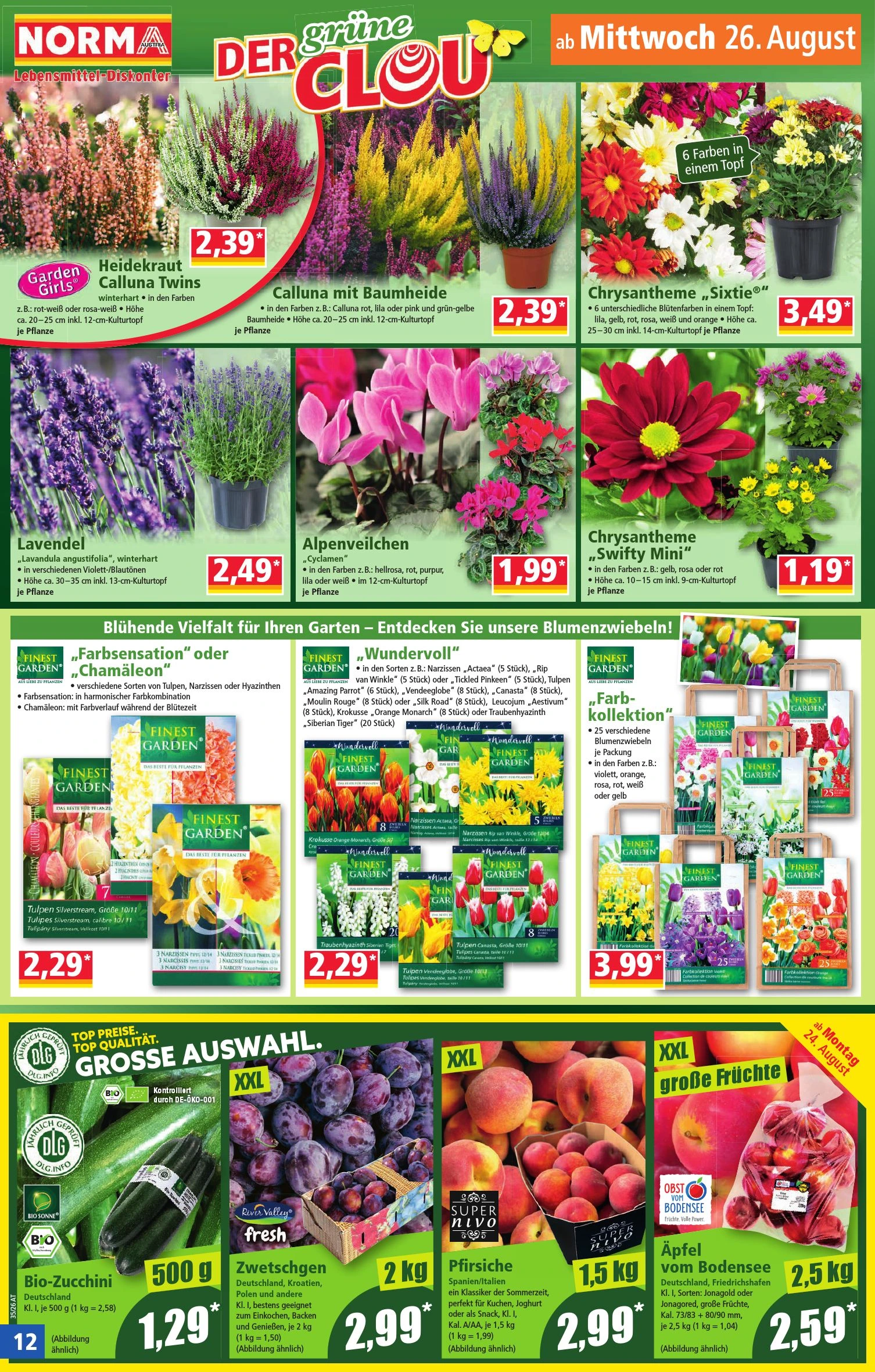 Flyer page 12