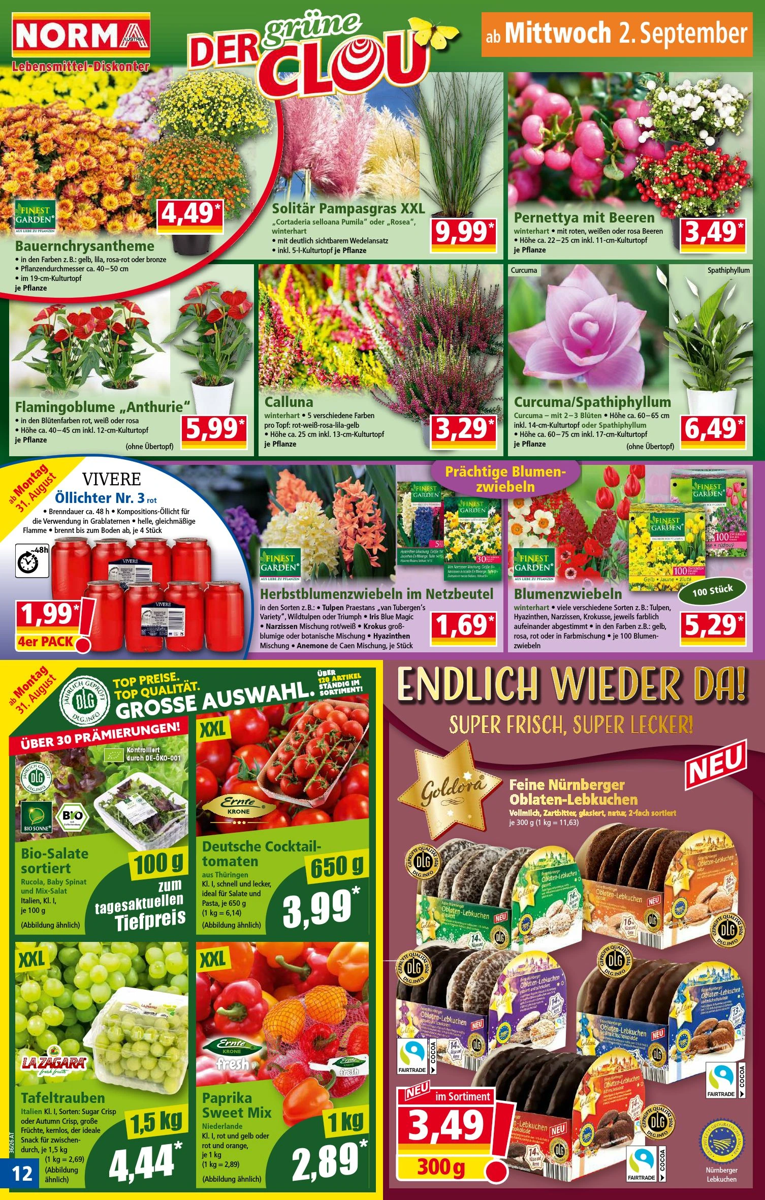 Flyer page 12