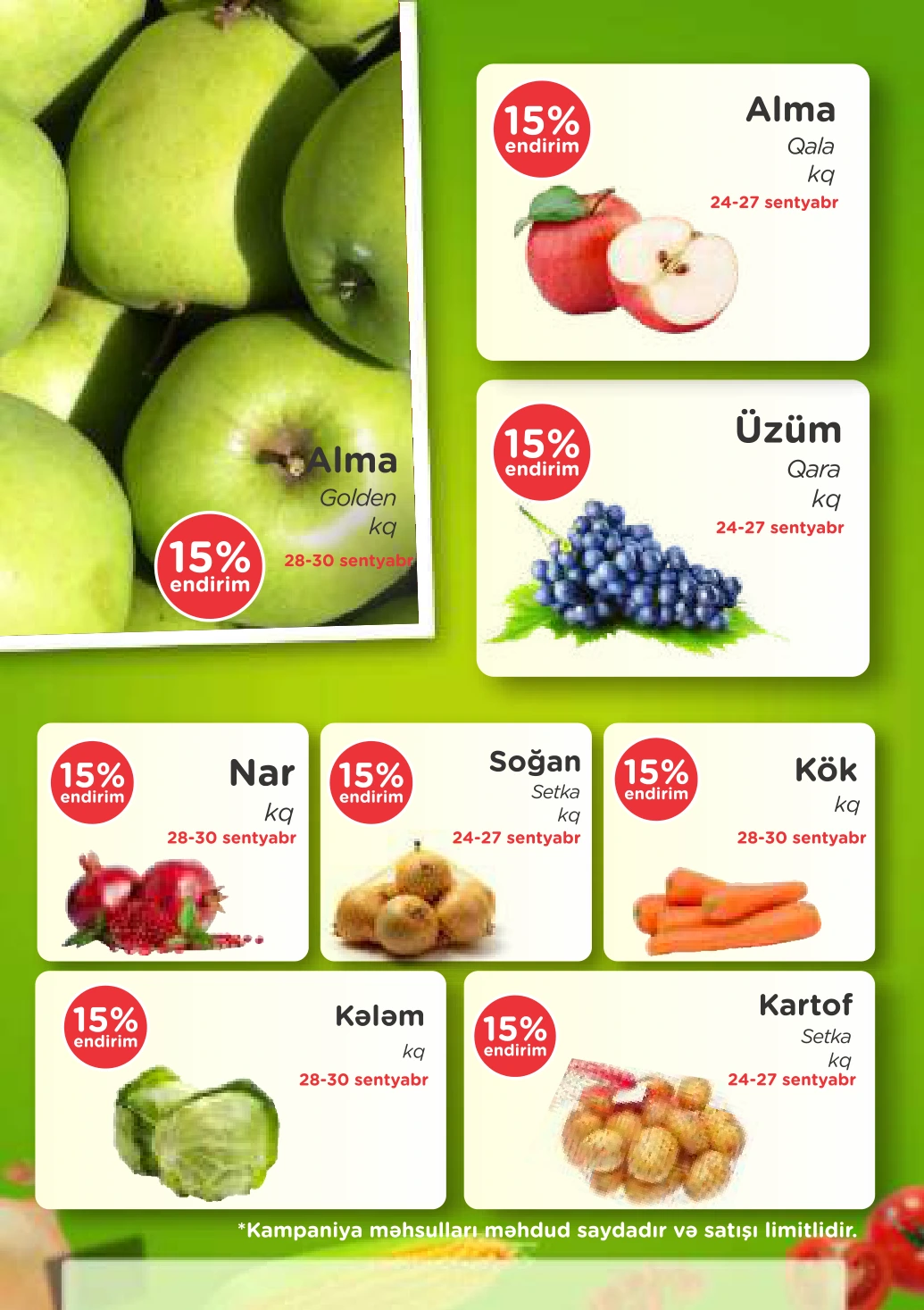 Flyer page 41