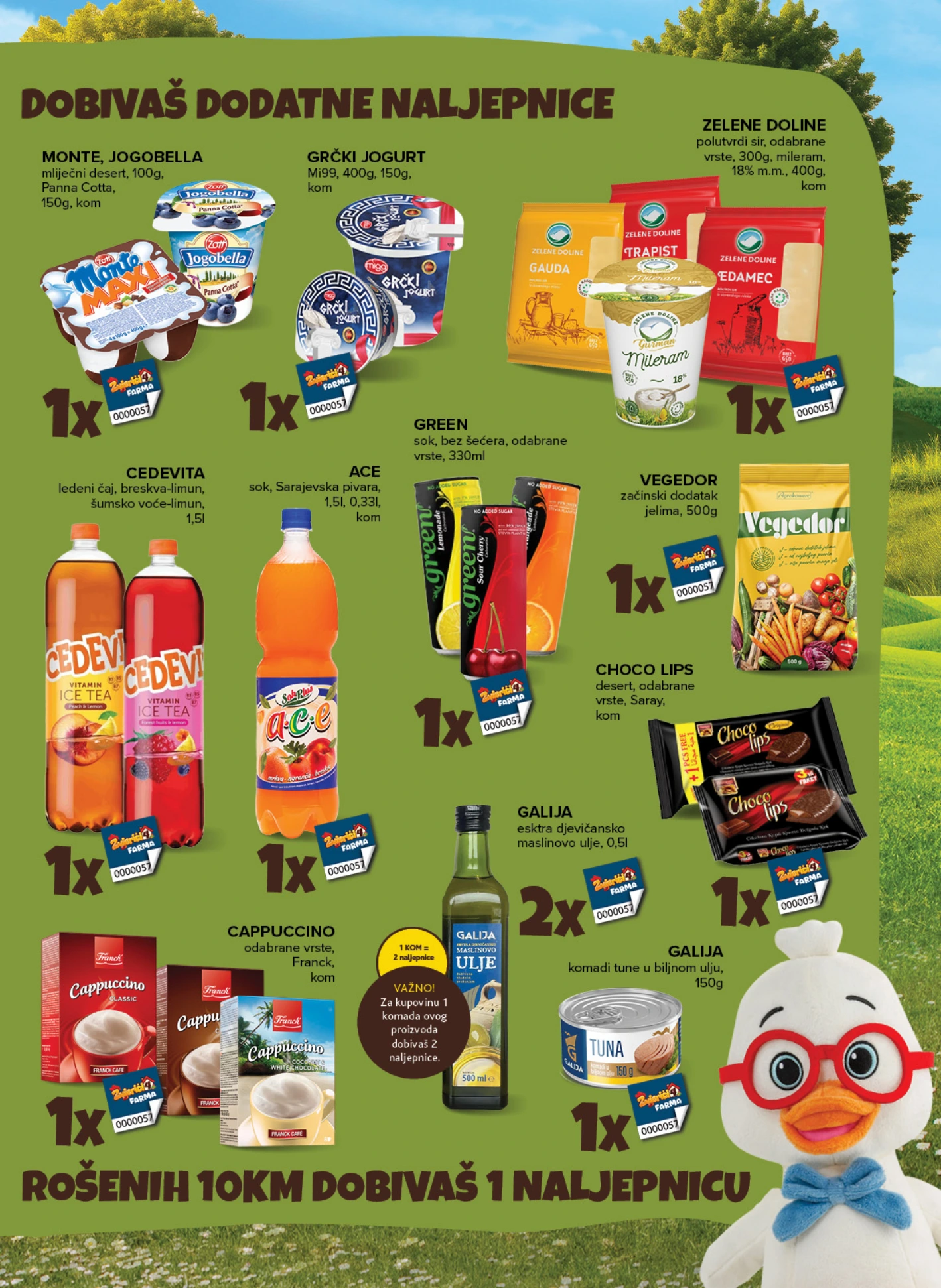 Flyer page 7