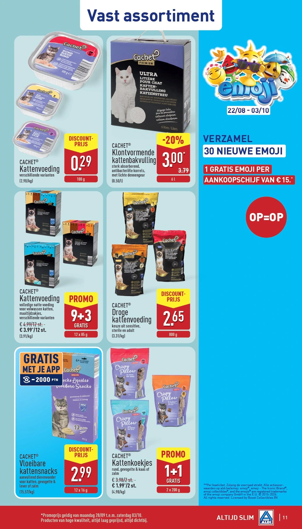 Flyer page 11