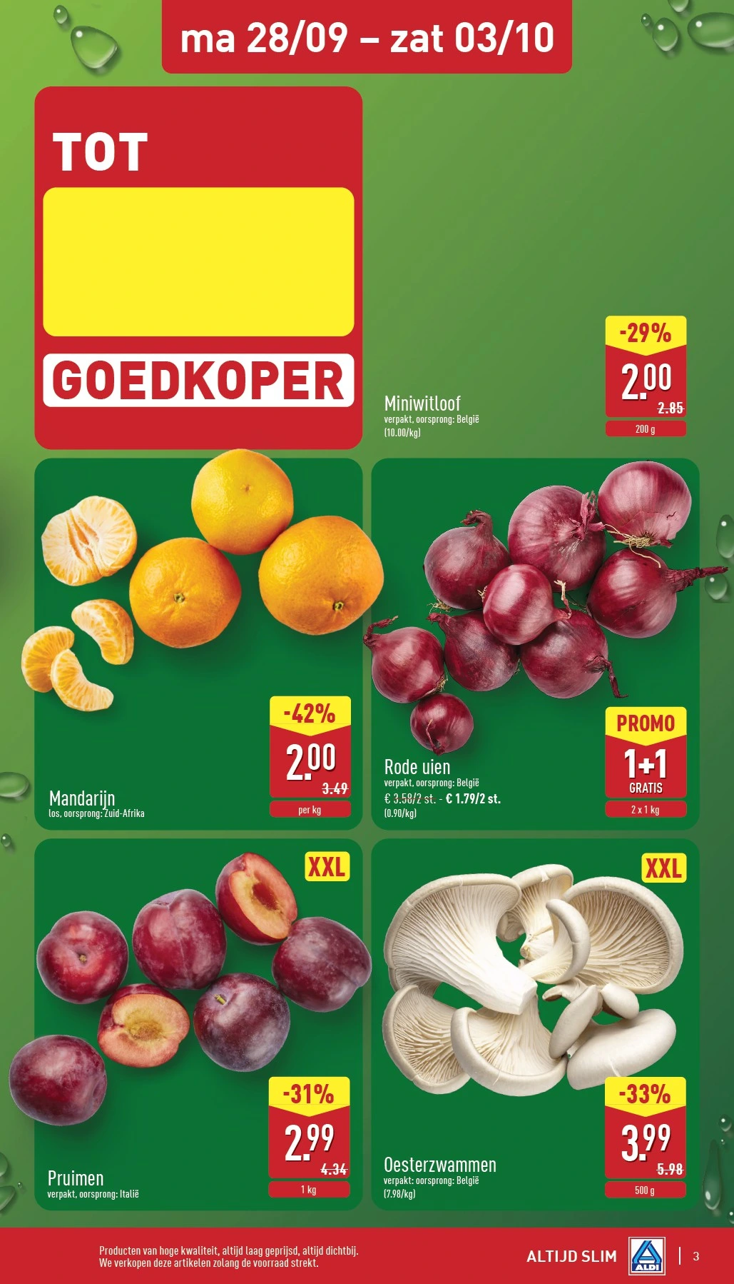 Flyer page 3