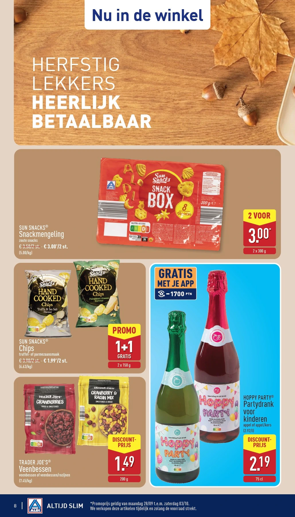 Flyer page 8