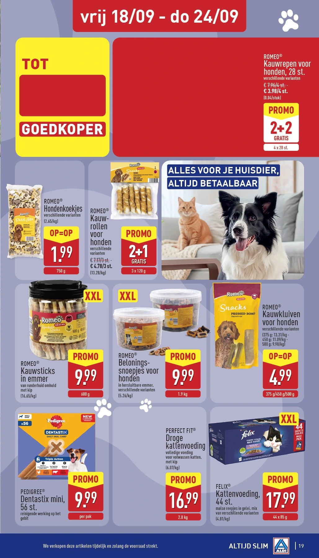 Flyer page 19