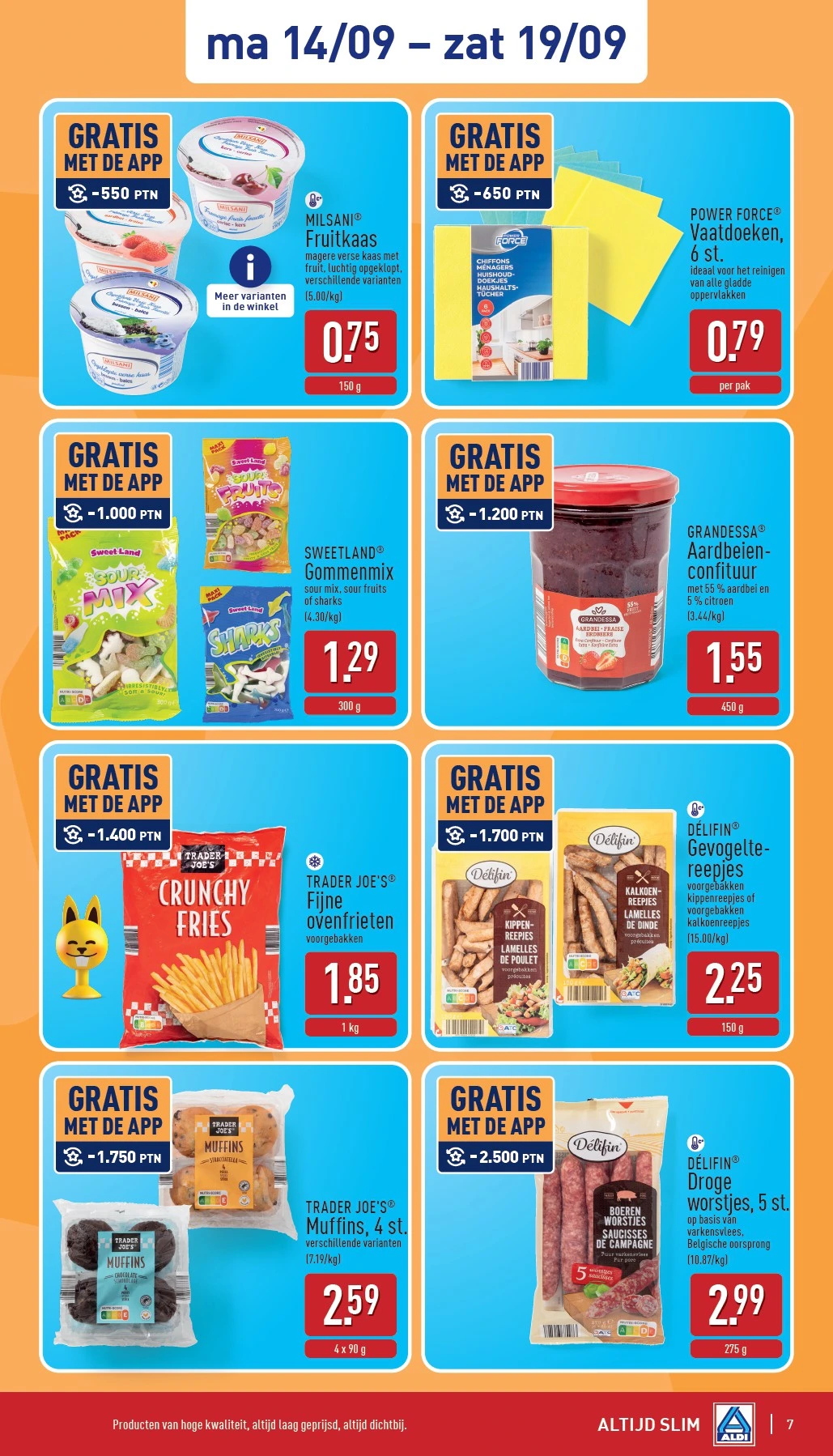 Flyer page 7