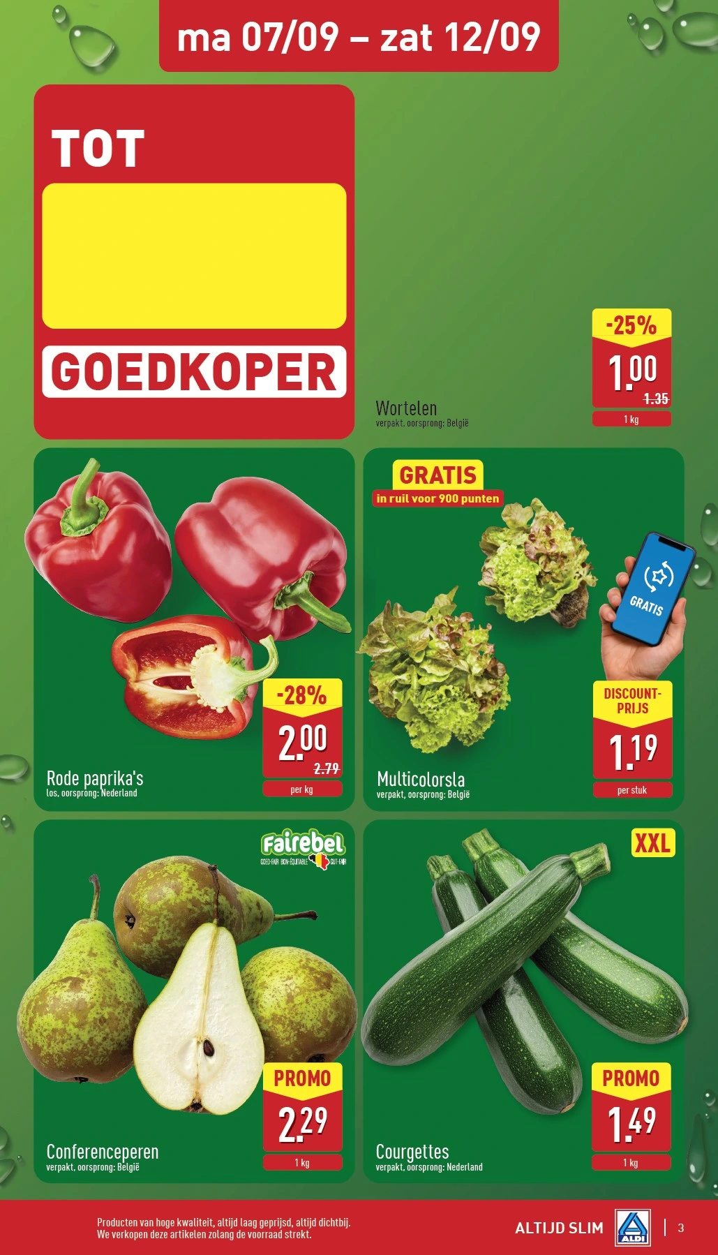 Flyer page 3