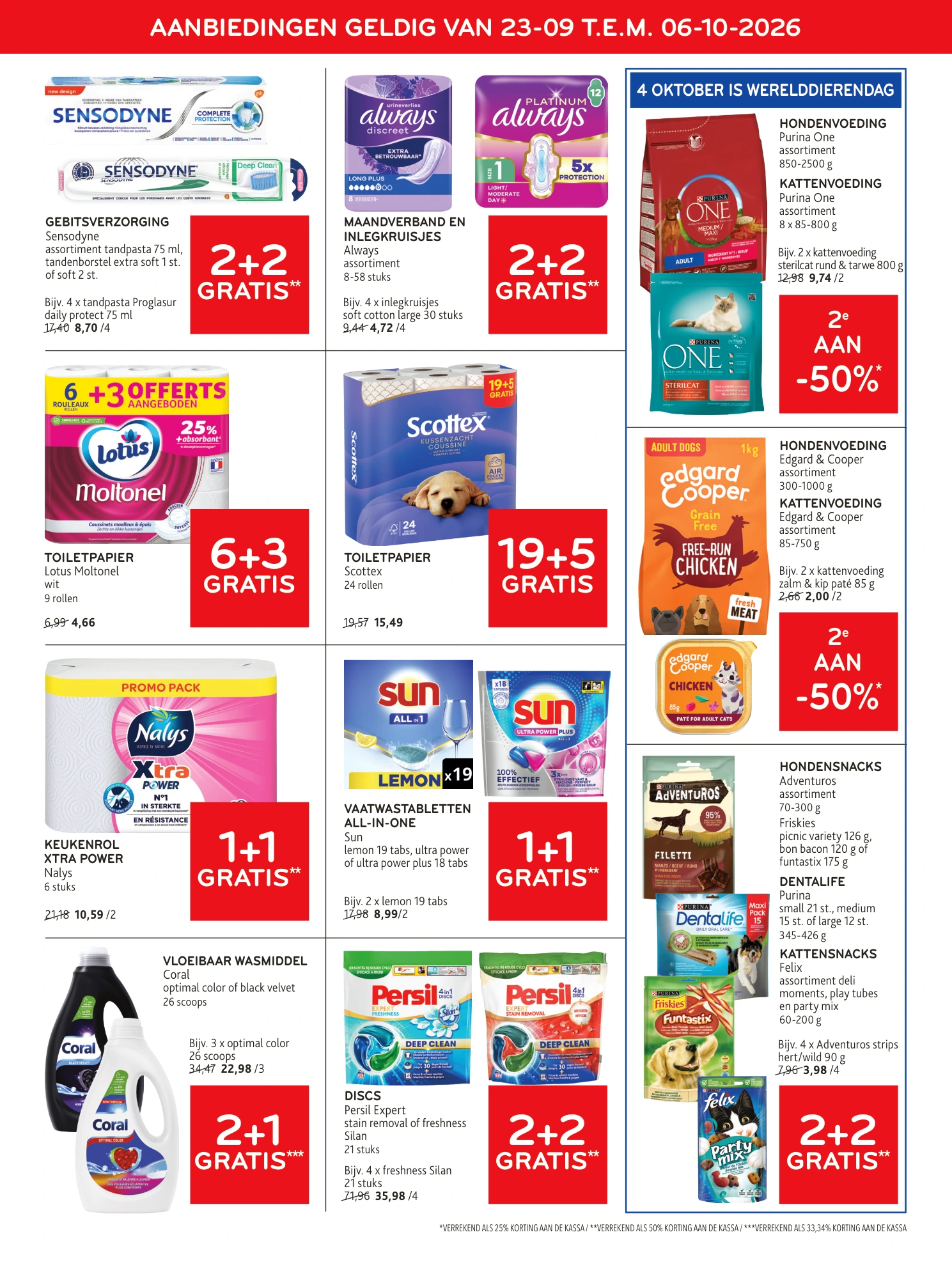 Flyer page 15