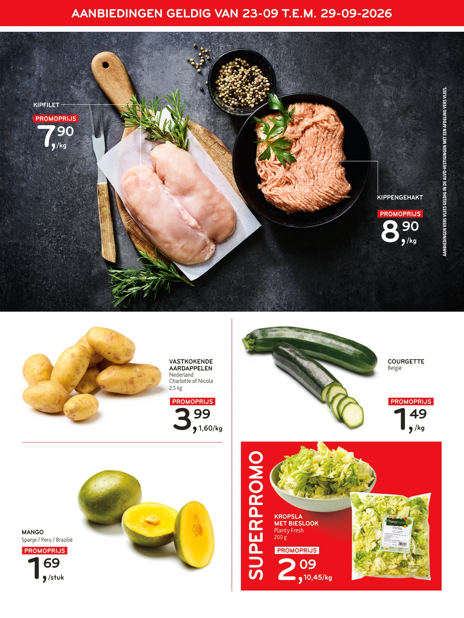 Flyer page 3
