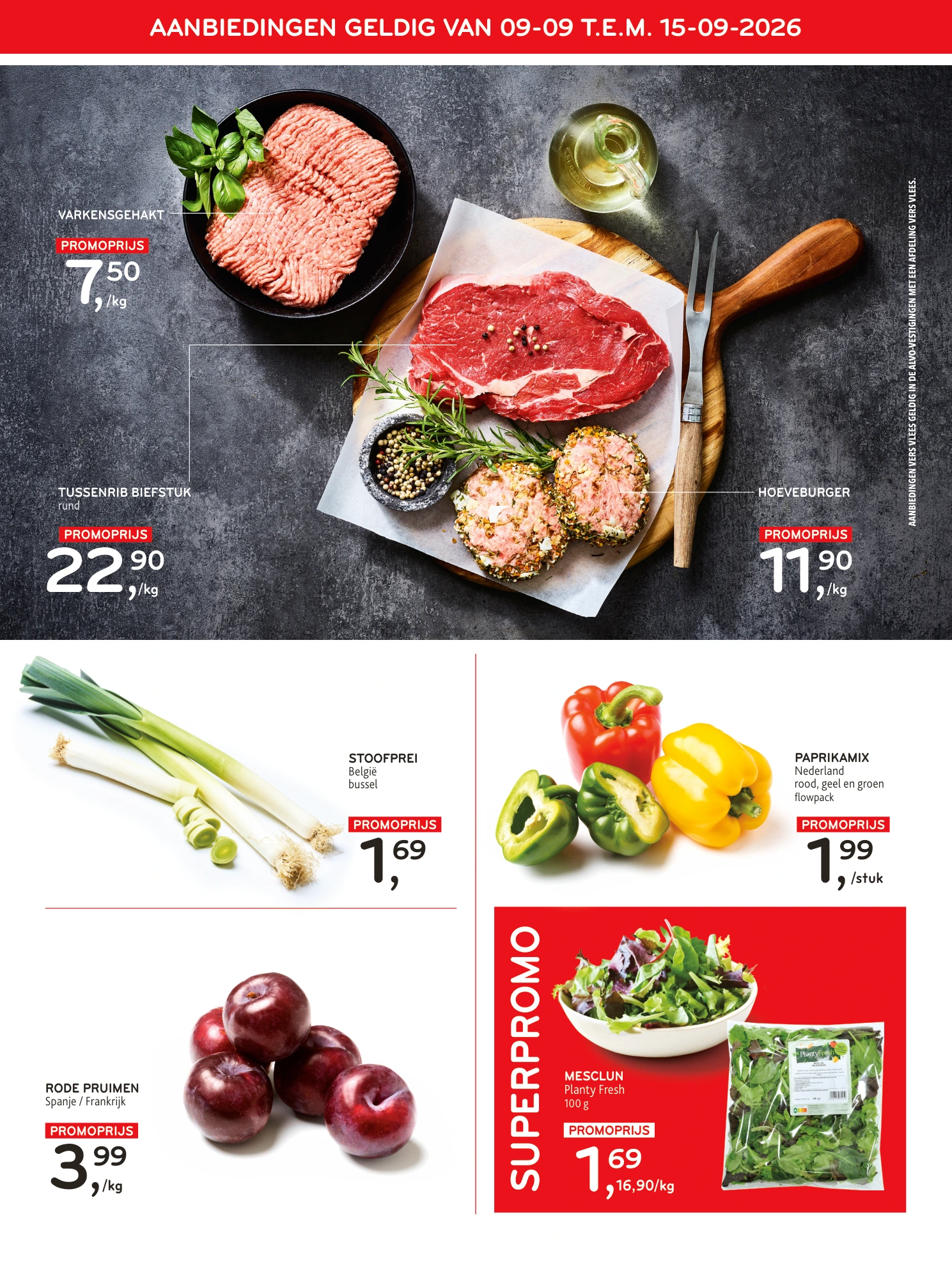 Flyer page 3