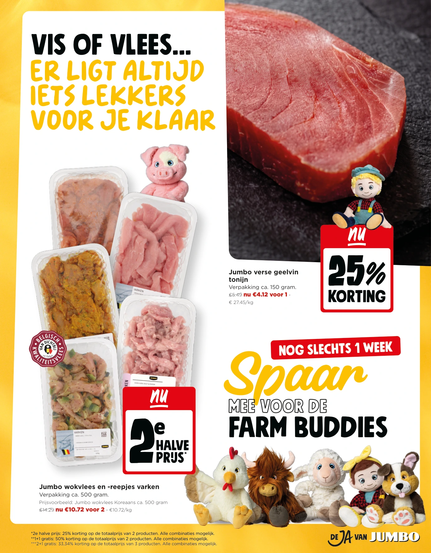 Flyer page 13