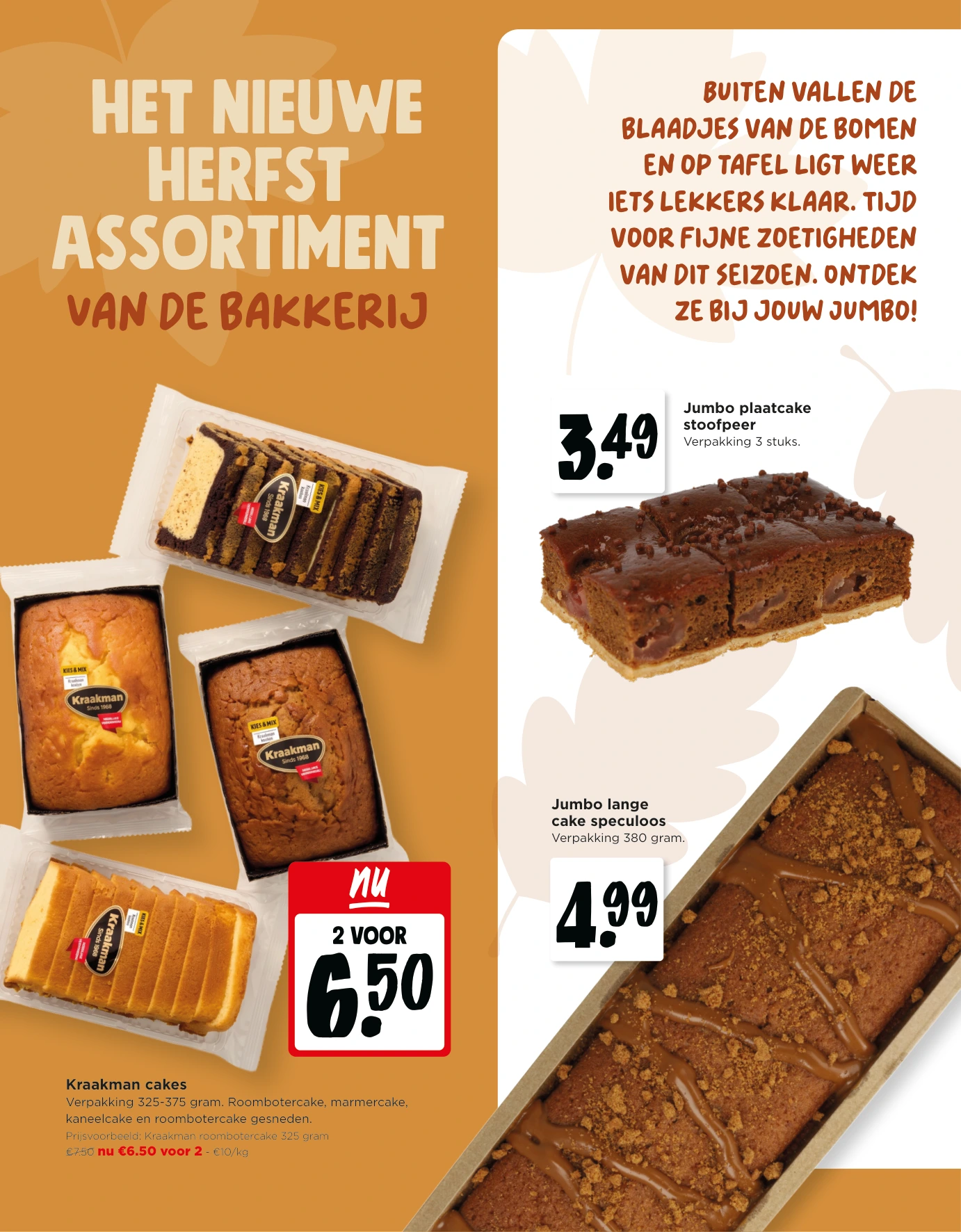 Flyer page 6