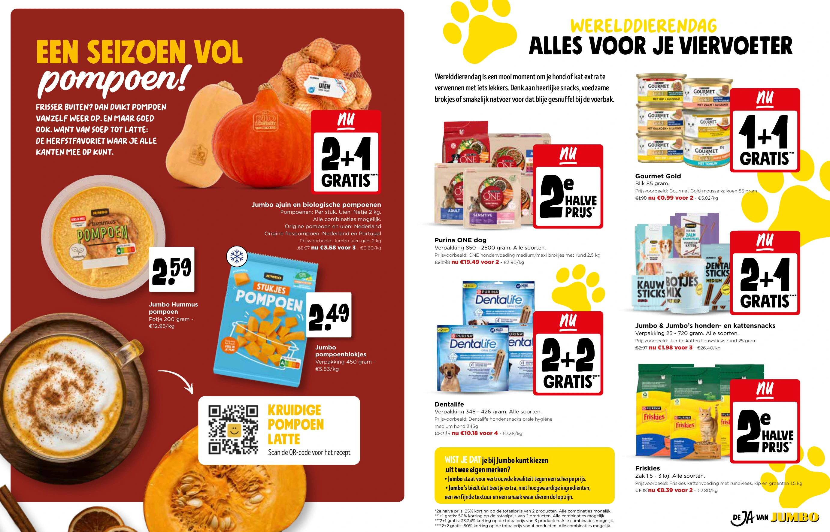 Flyer page 7