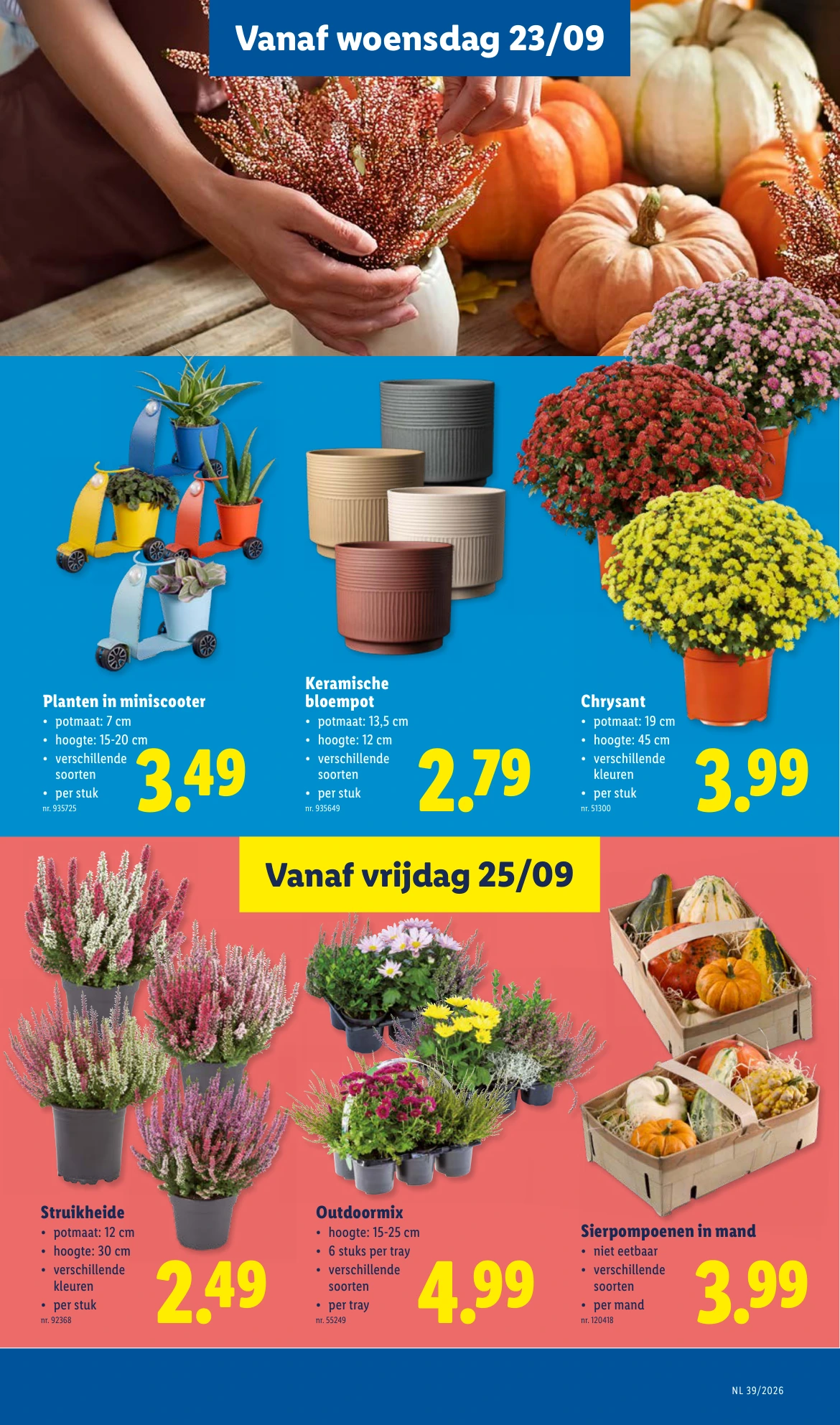 Flyer page 19