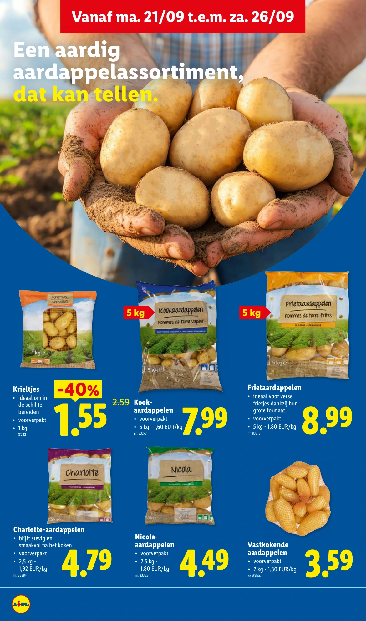 Flyer page 2