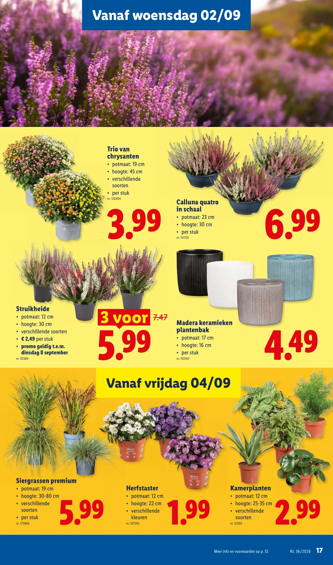 Flyer page 17