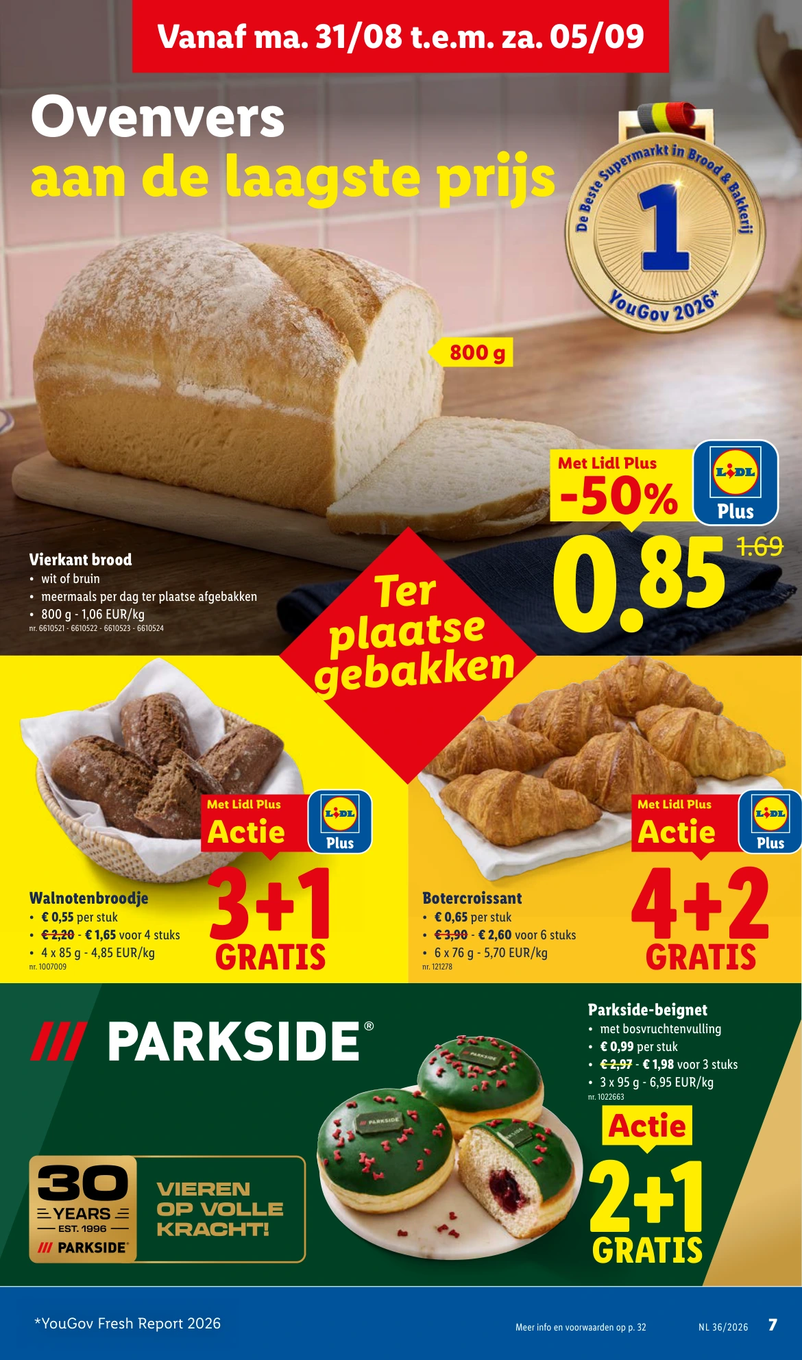 Flyer page 7
