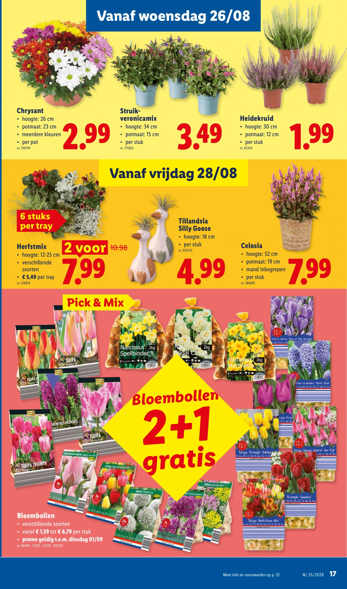 Flyer page 17