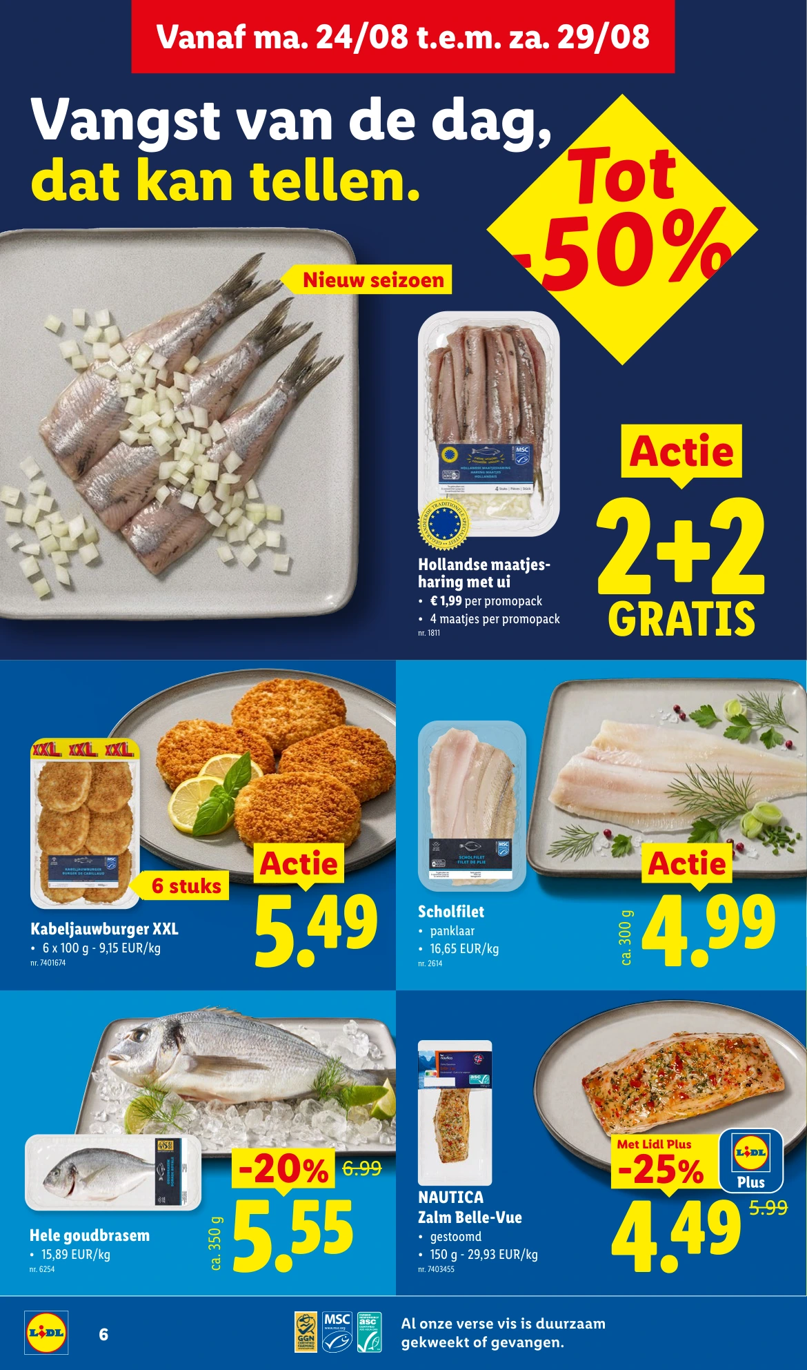Flyer page 6