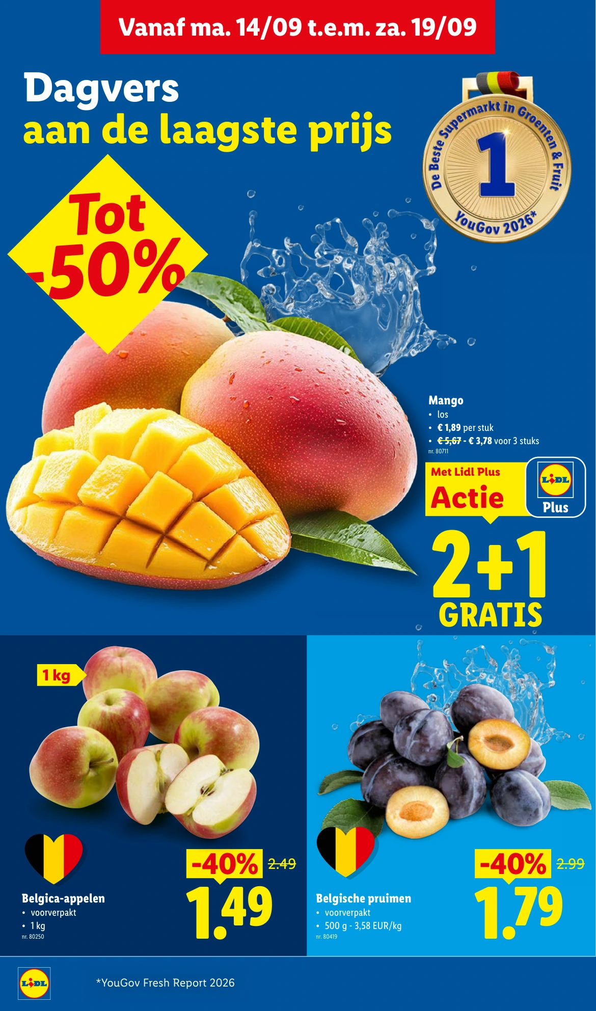 Flyer page 2
