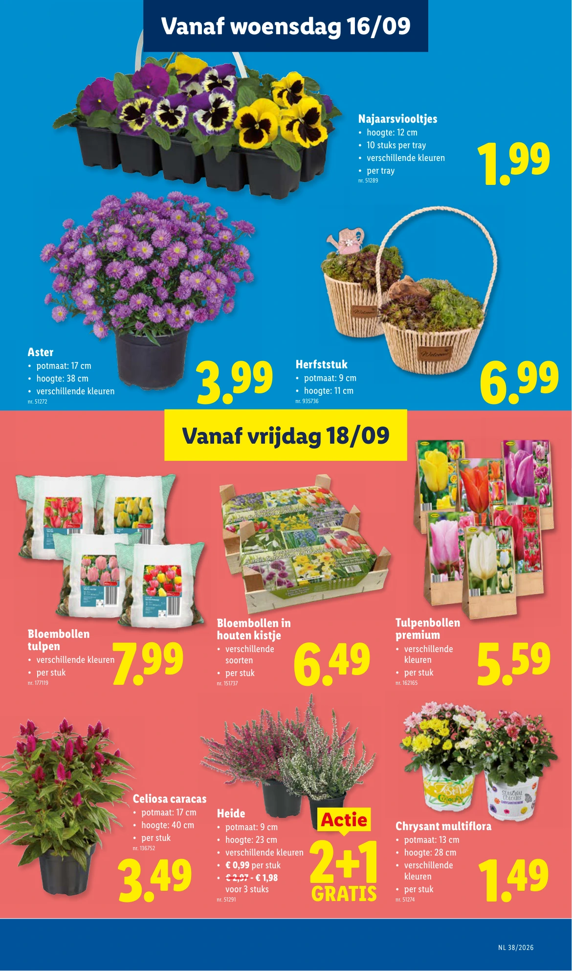 Flyer page 23