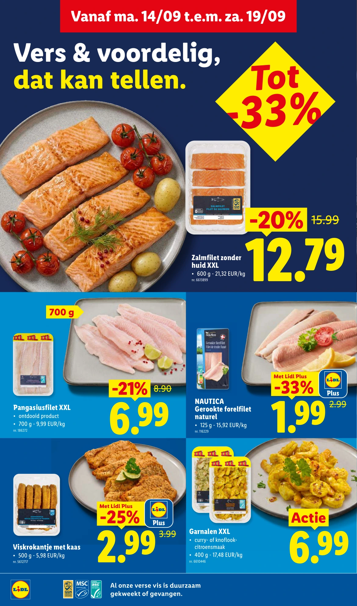 Flyer page 6