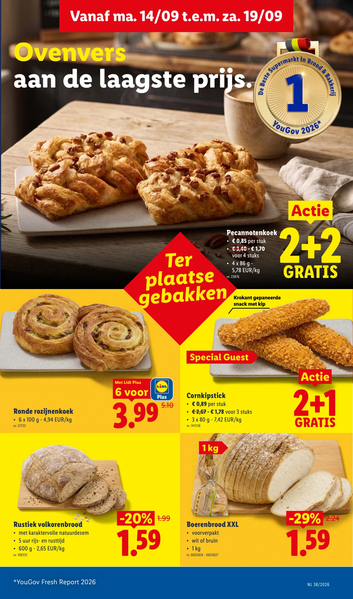 Flyer page 7