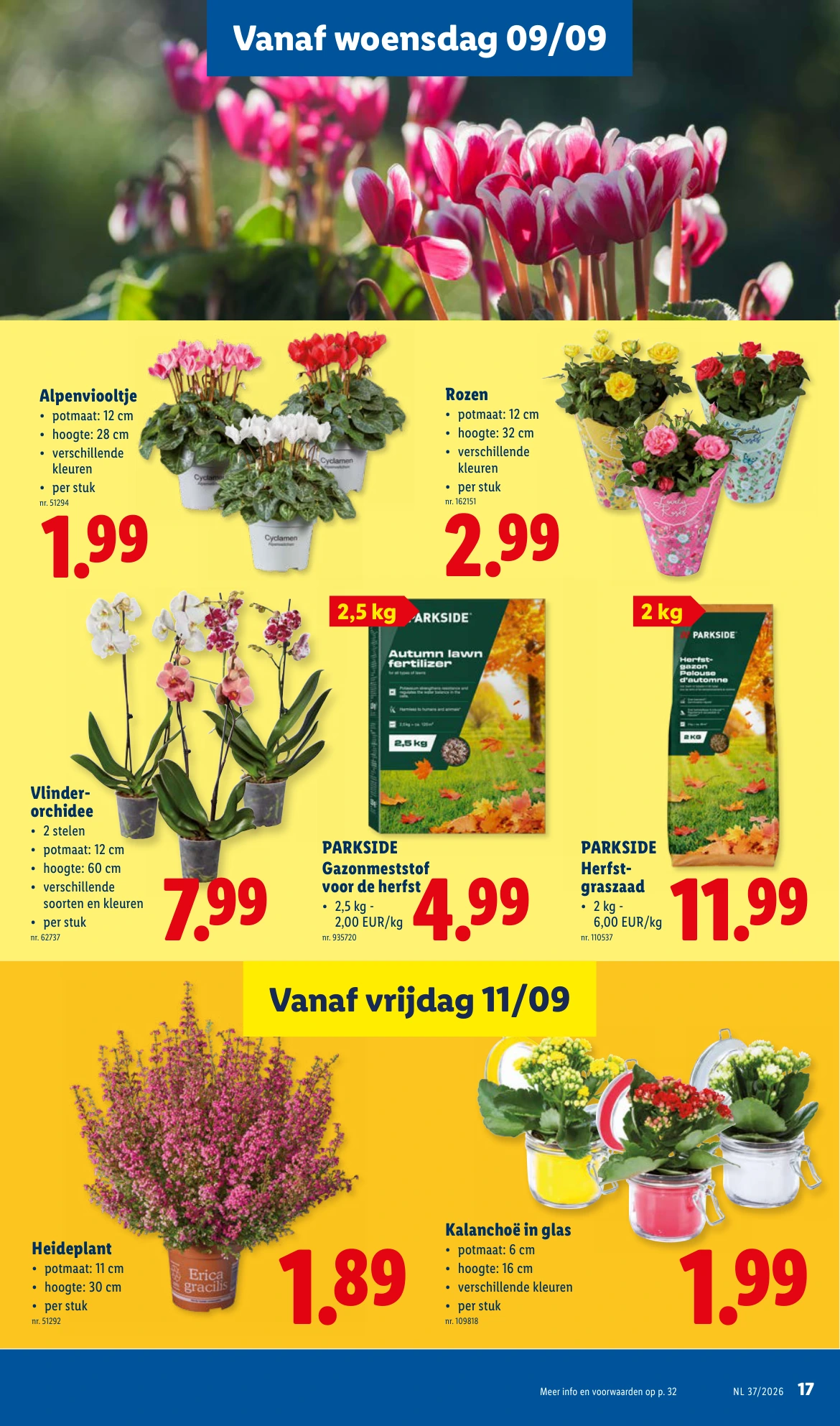 Flyer page 17