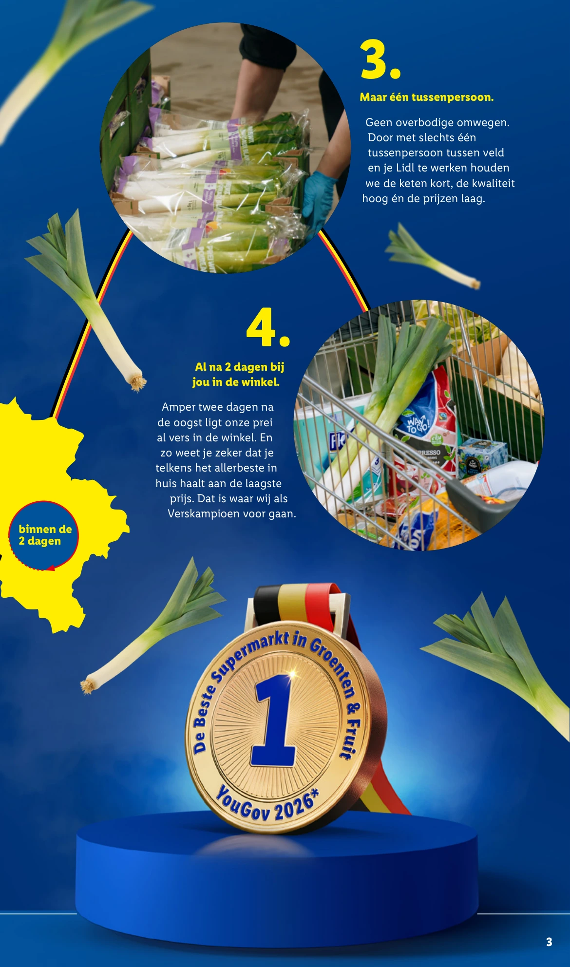Flyer page 3