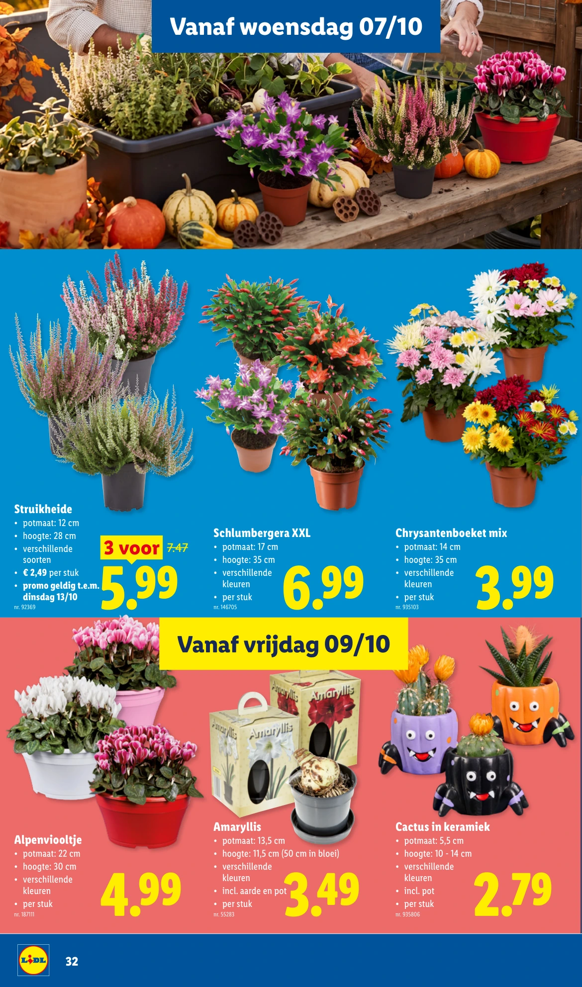 Flyer page 32