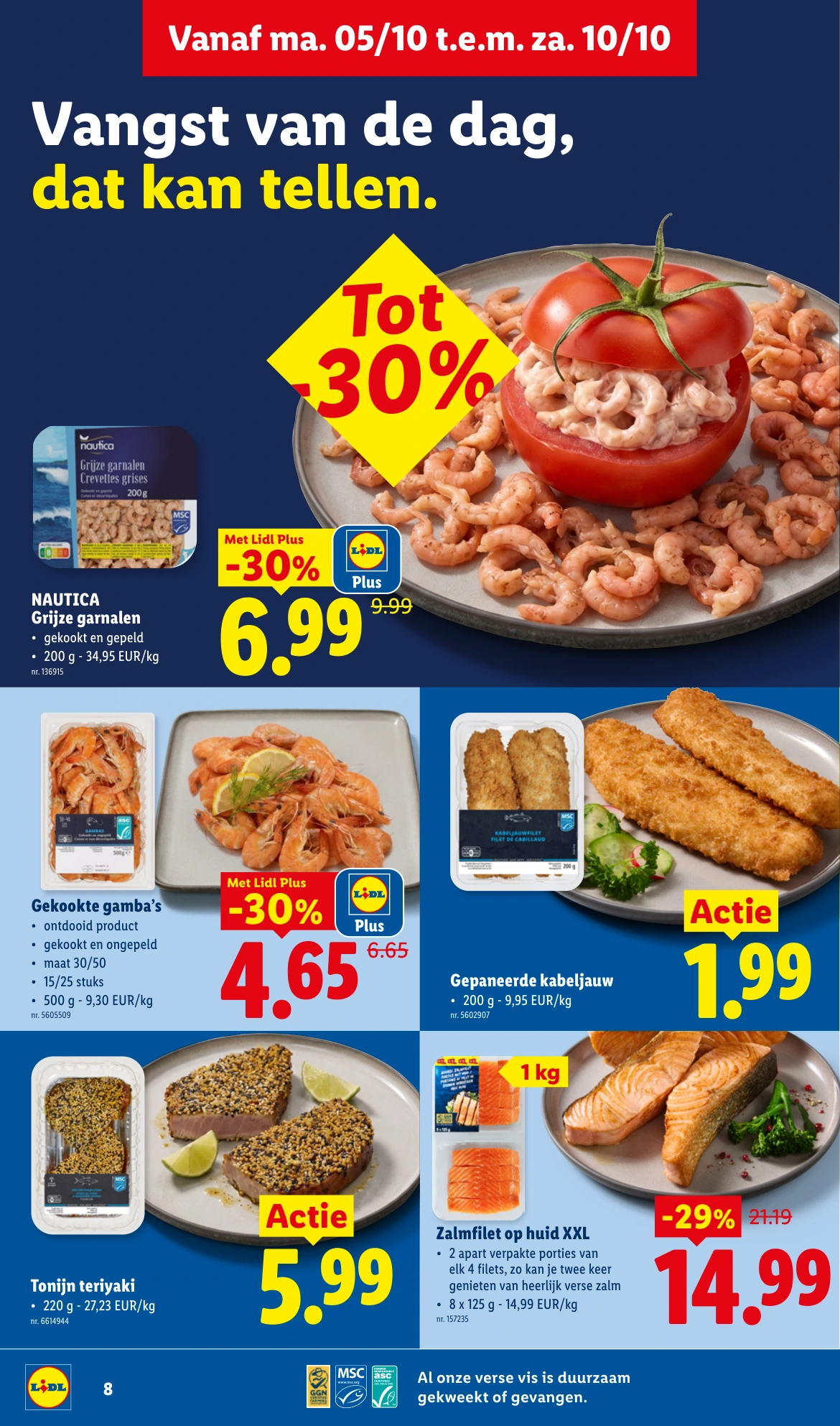 Flyer page 8