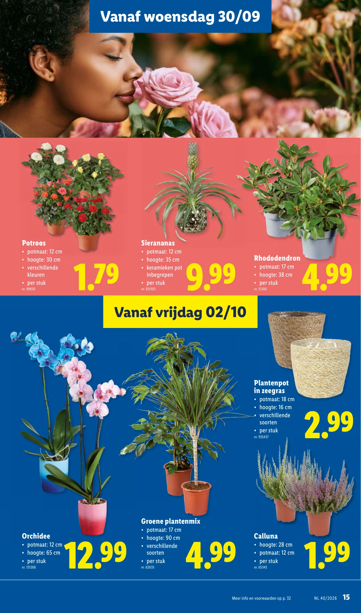 Flyer page 15