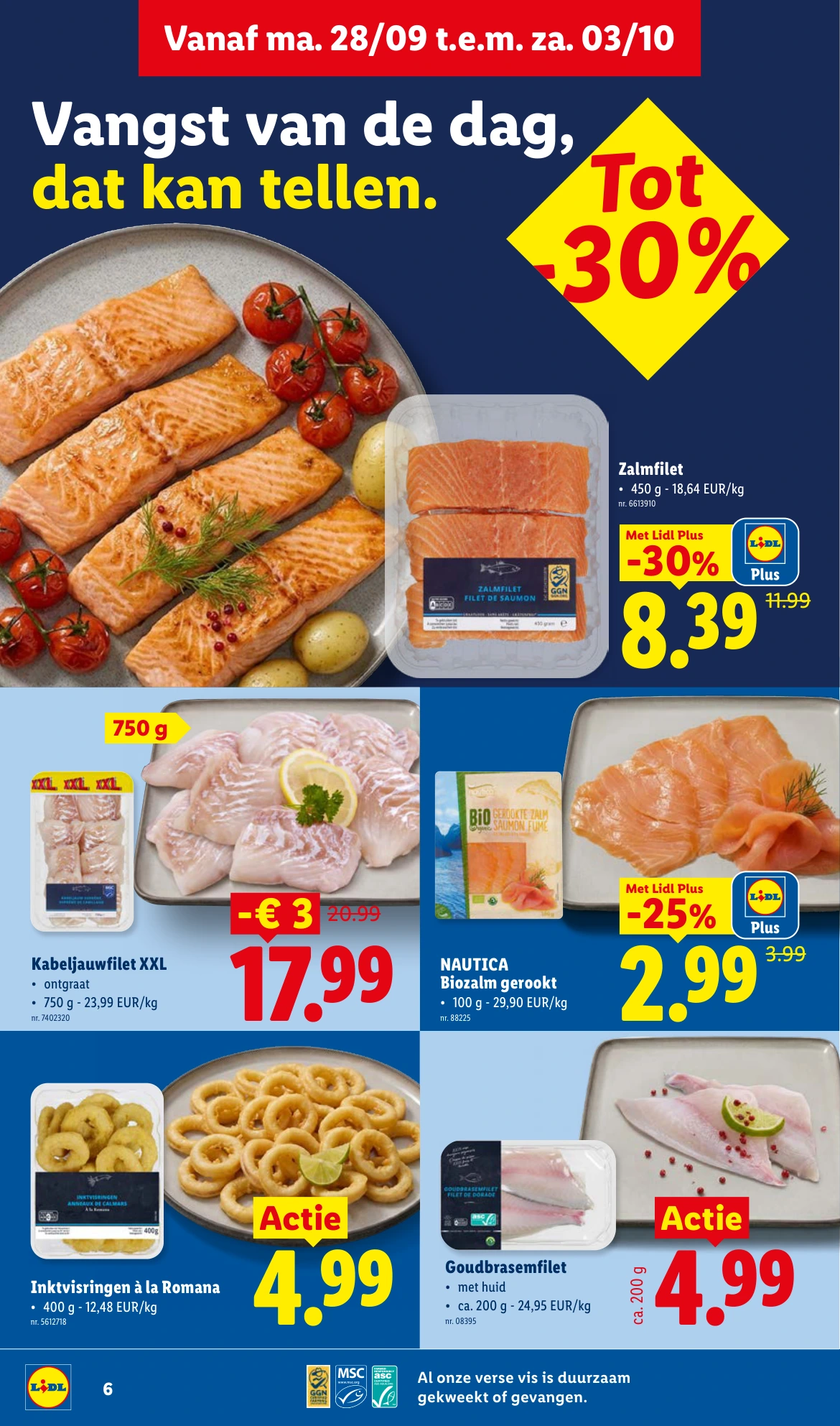 Flyer page 6