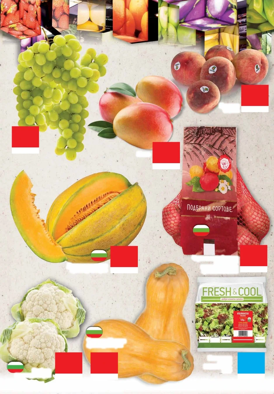 Flyer page 6