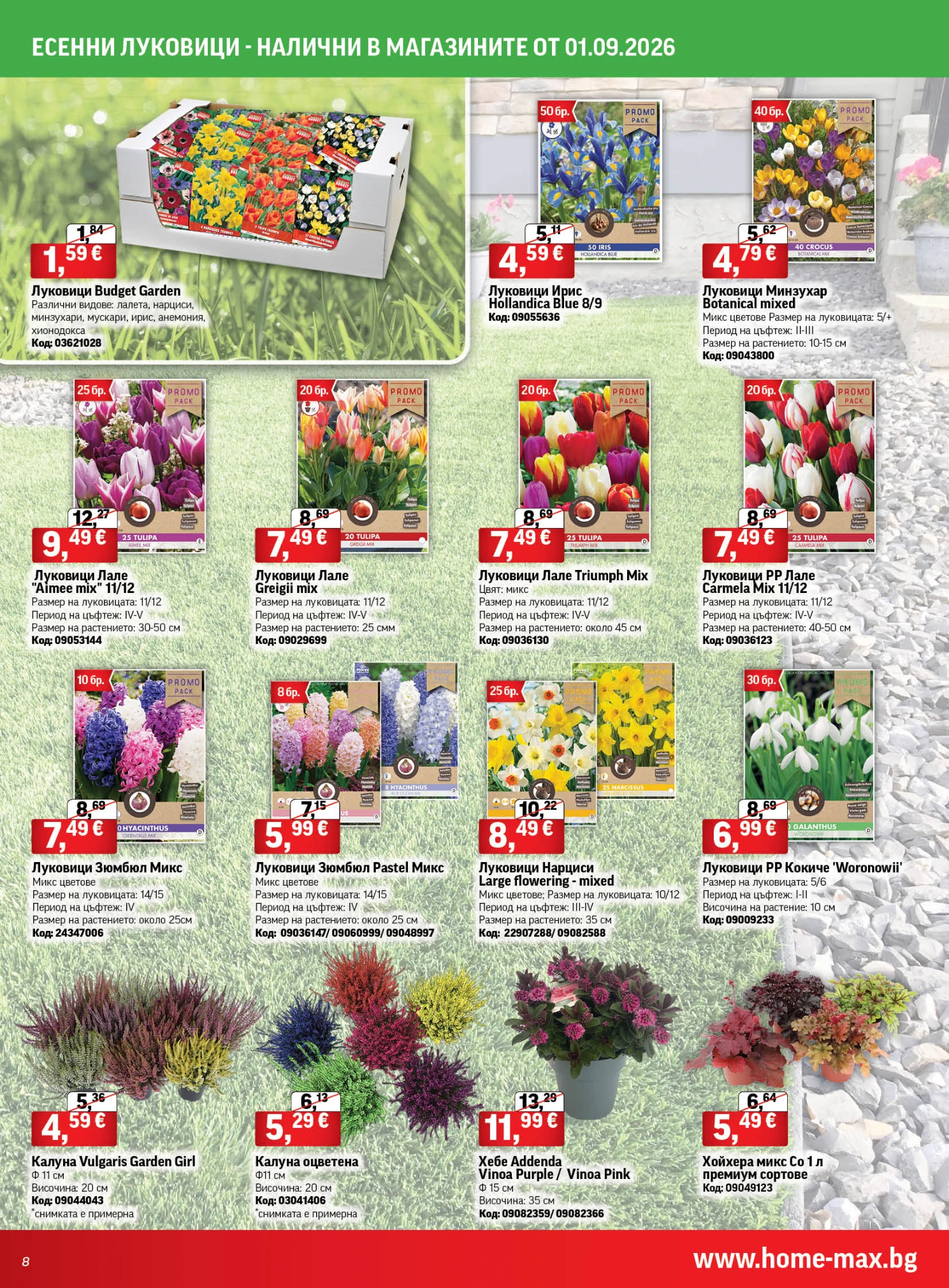 Flyer page 8