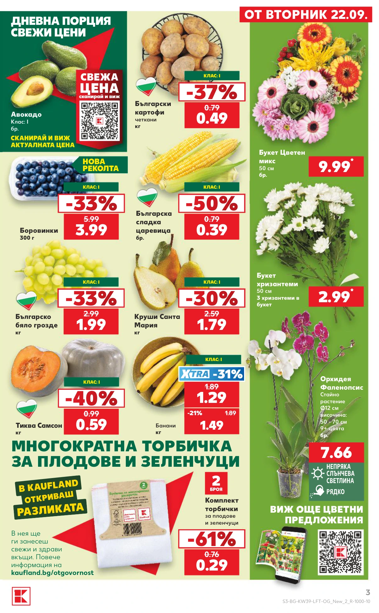 Flyer page 3