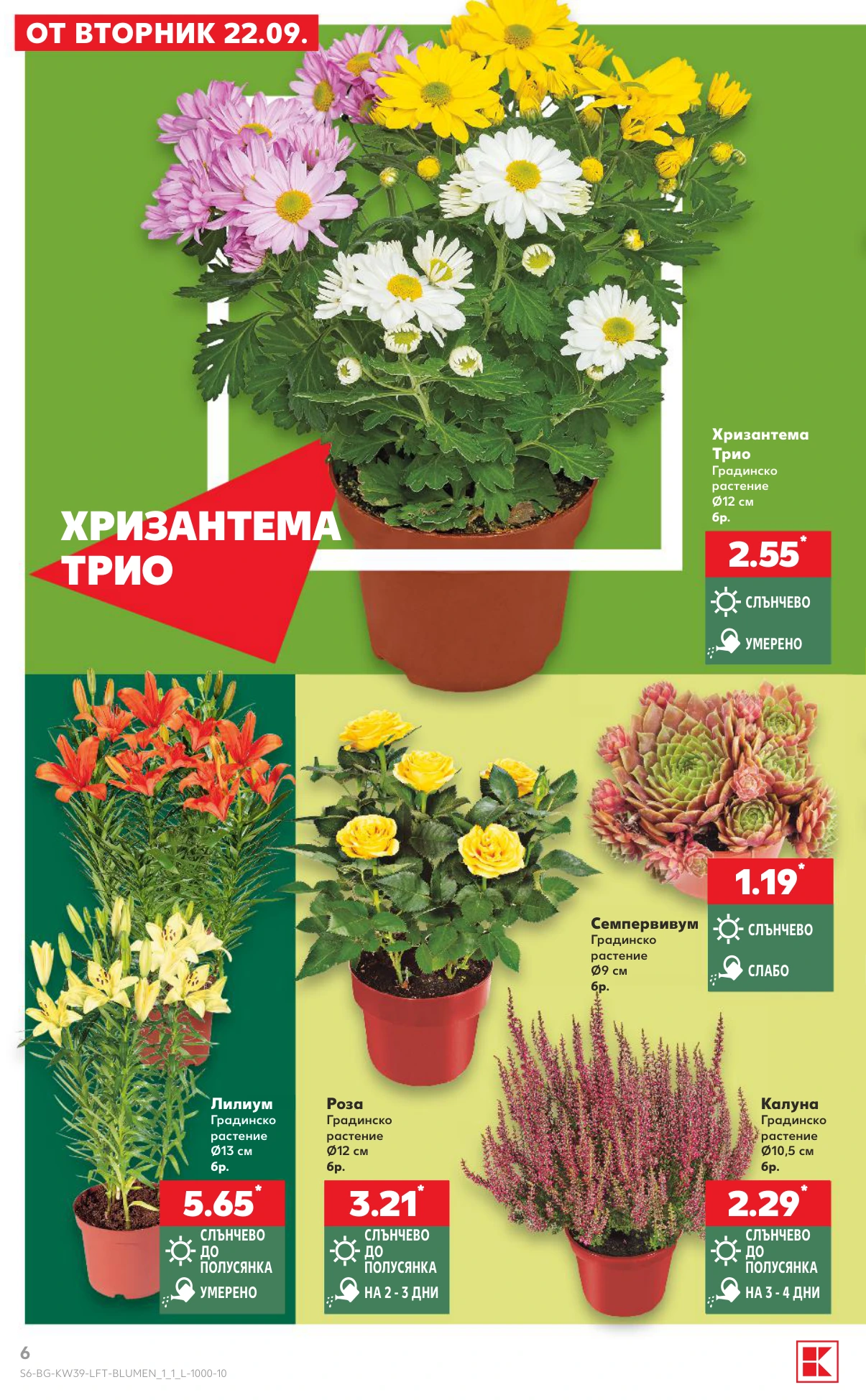 Flyer page 6