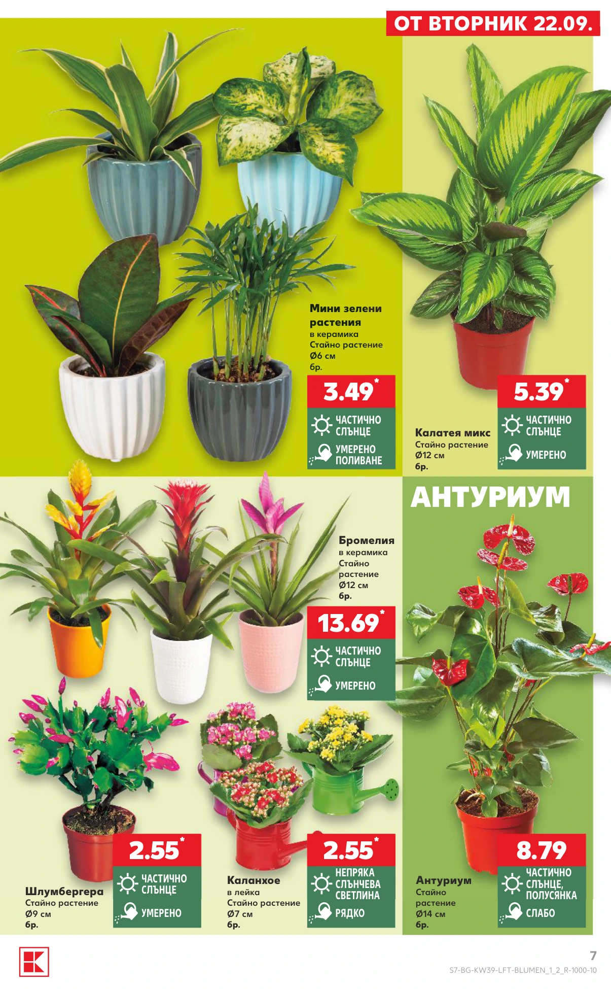 Flyer page 7