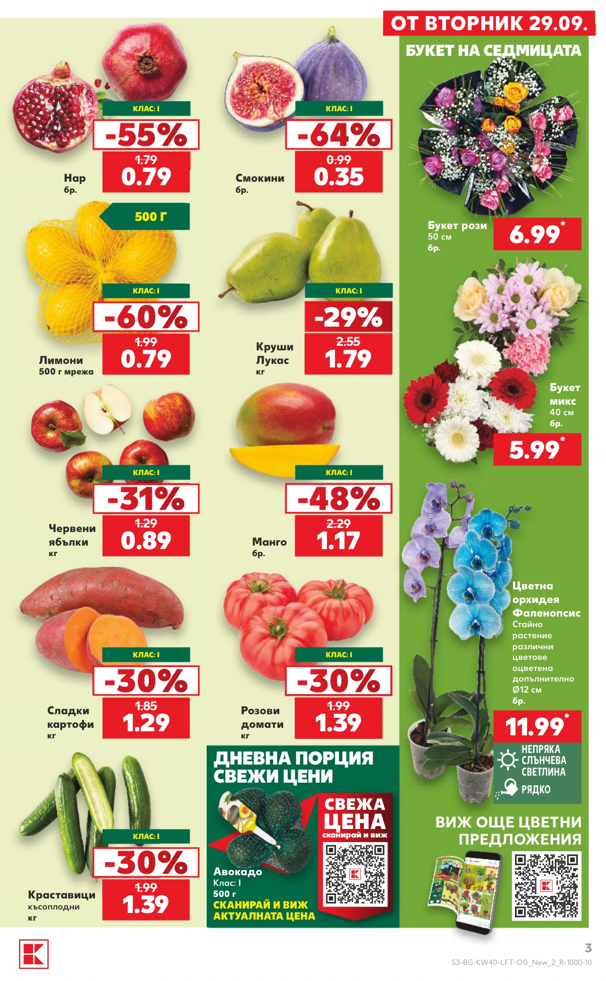 Flyer page 3