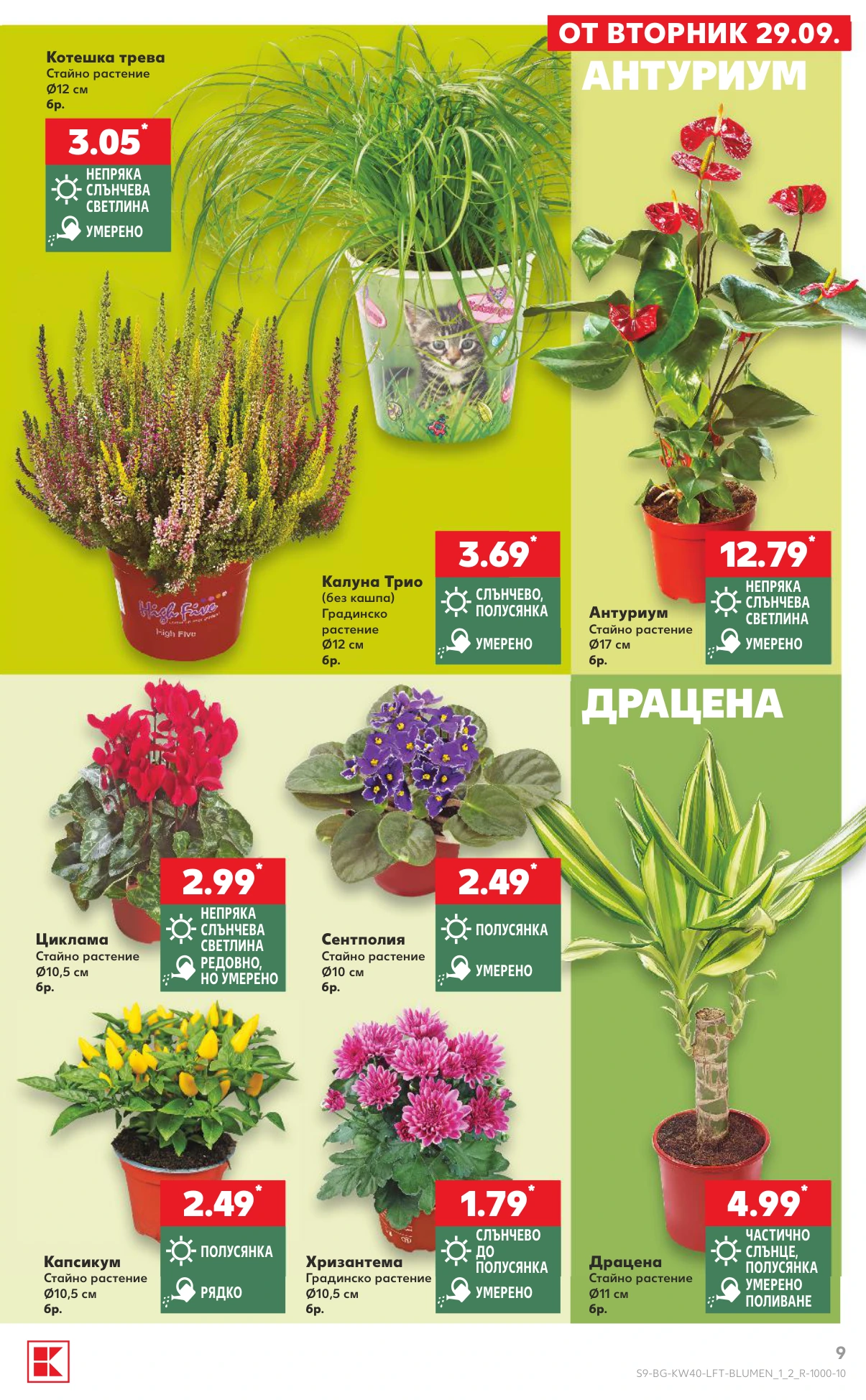 Flyer page 9