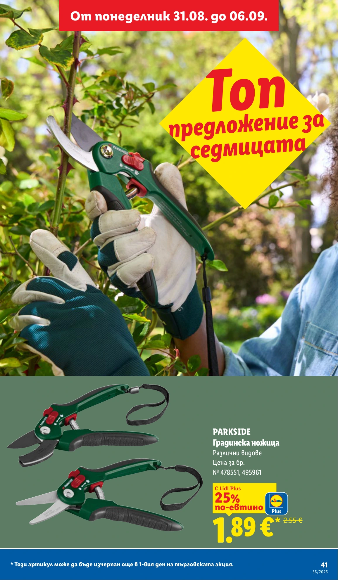 Flyer page 41