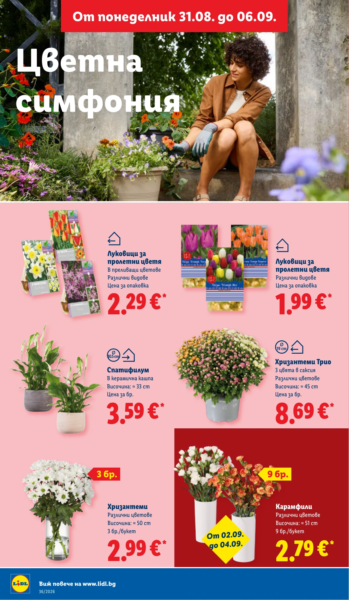 Flyer page 50